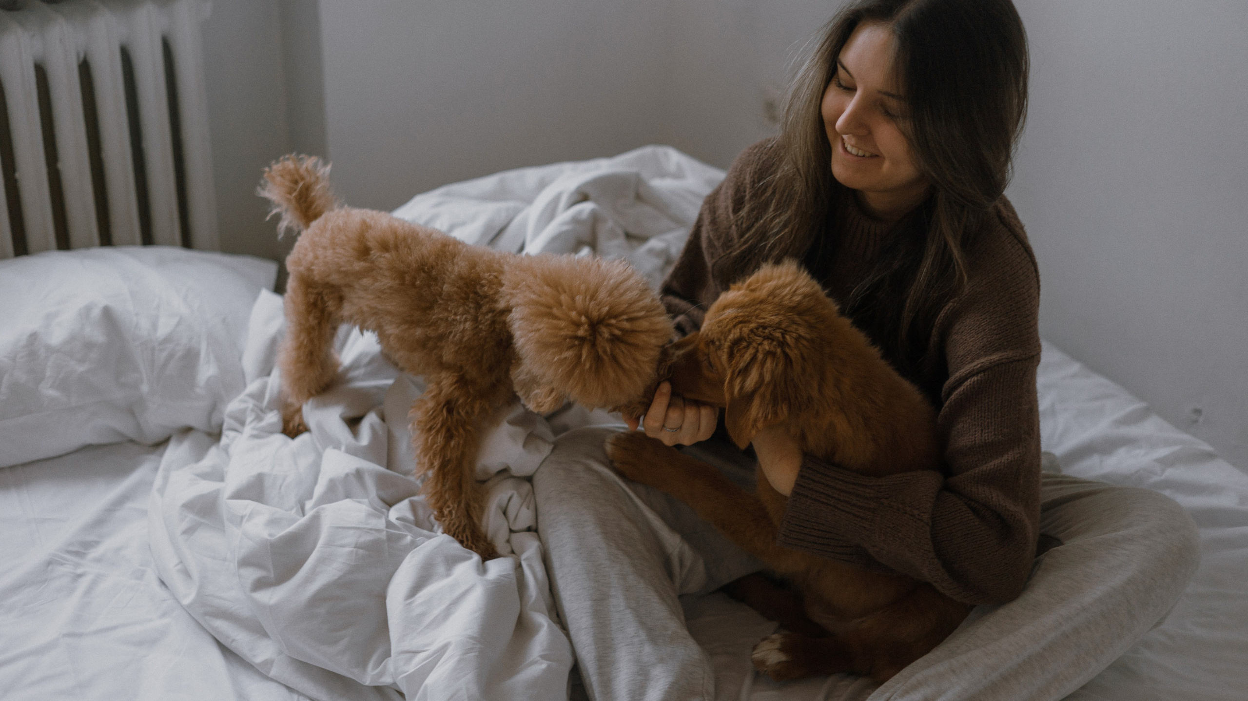 Маша, Одди и Нэвил. Фотограф-анималист Богданова Полина