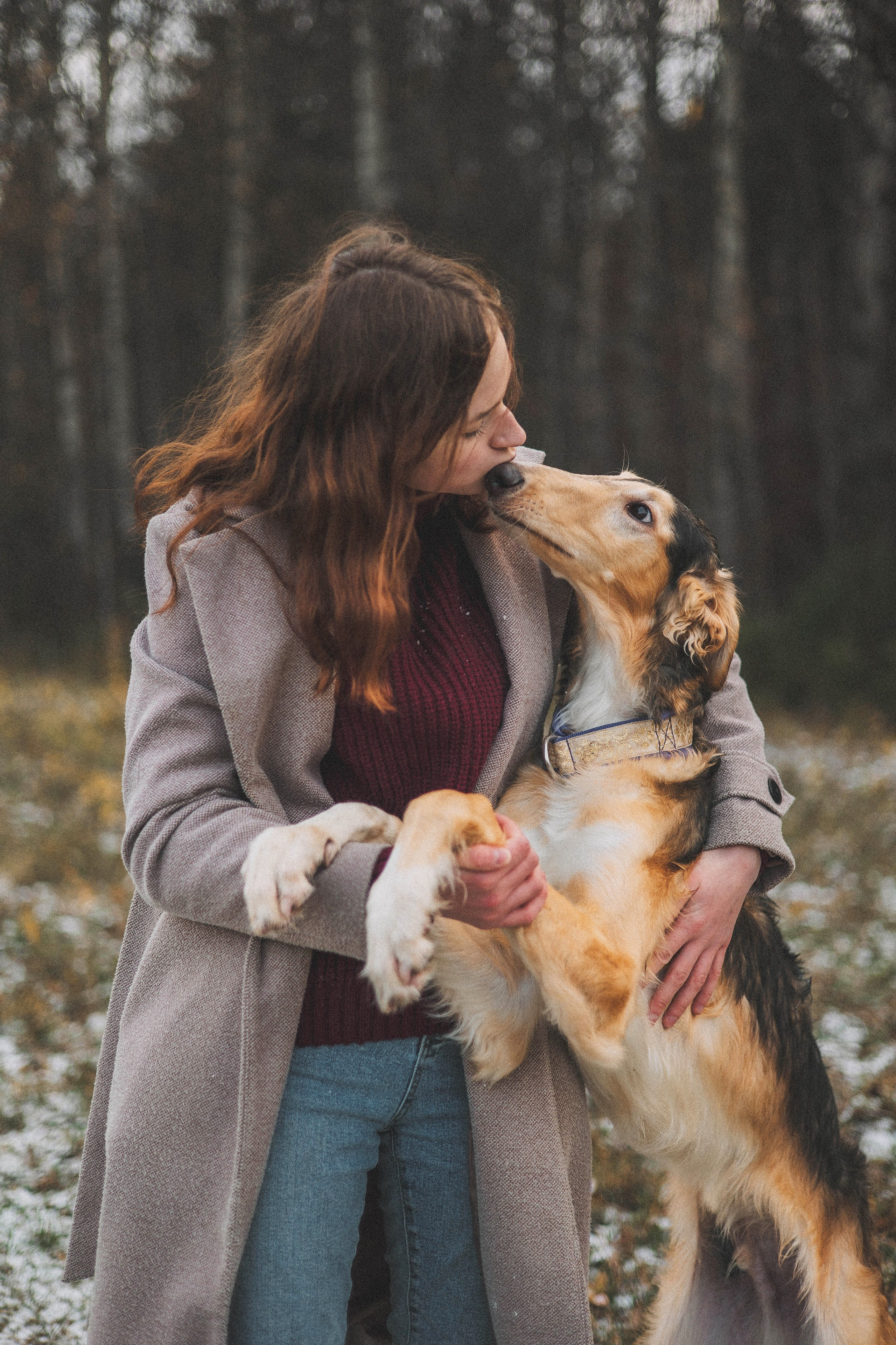 Алена, Леви и Микаса. Фотограф-анималист Богданова Полина