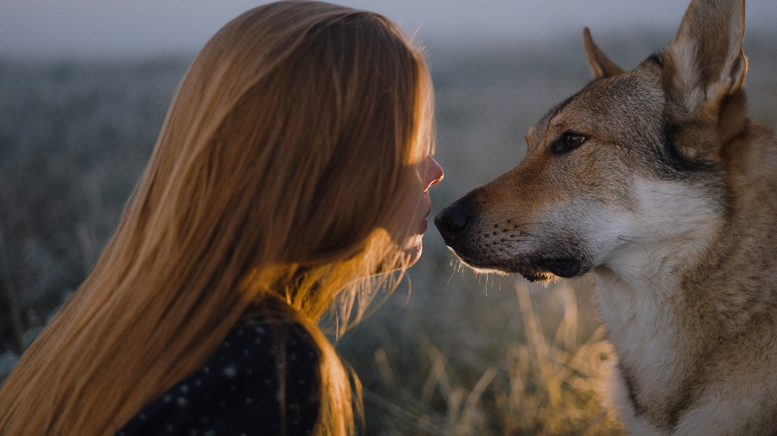 Полина и Вегард. Фотограф-анималист Богданова Полина