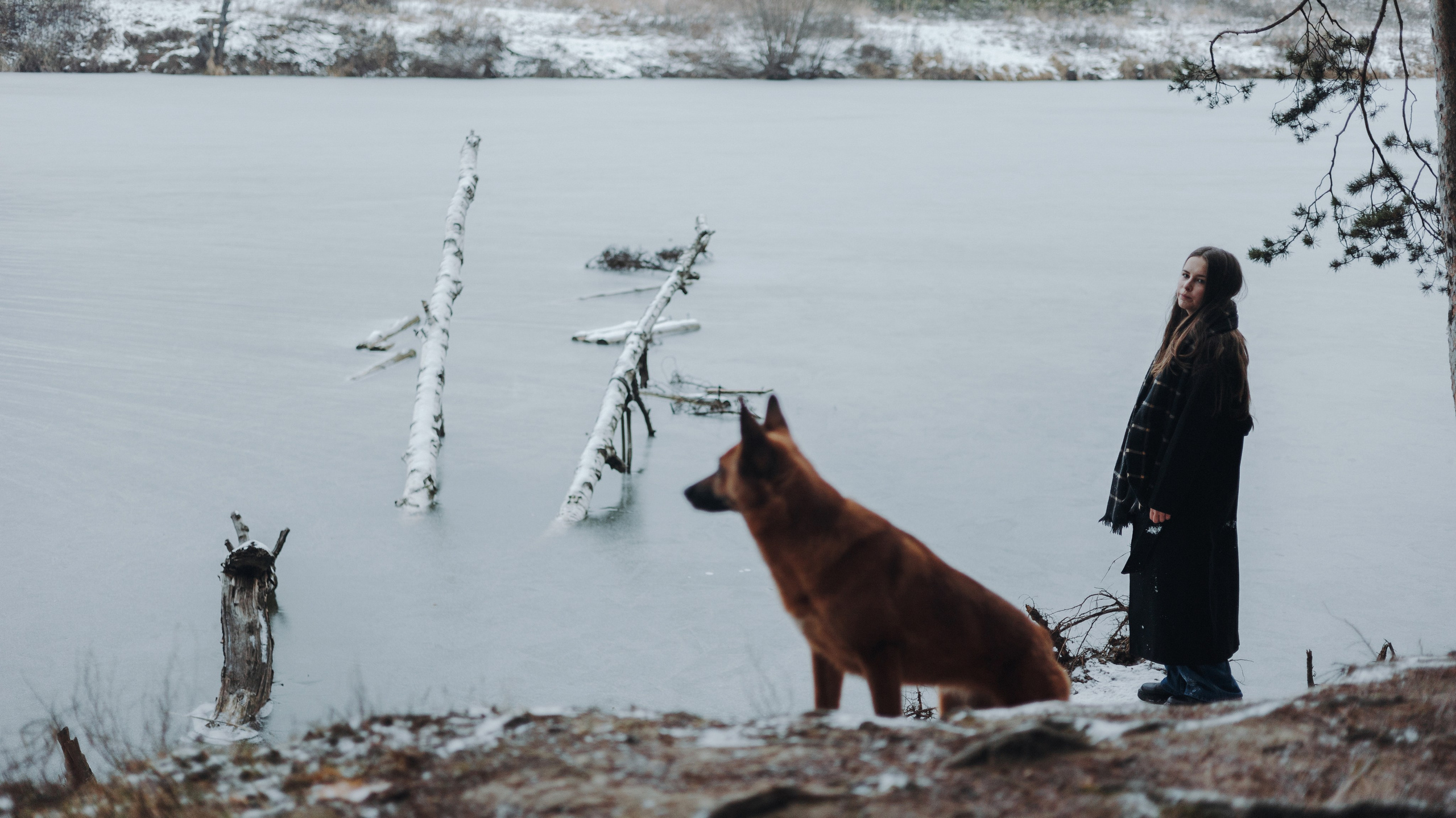 Юля, Лара и Йоми. Фотограф-анималист Богданова Полина