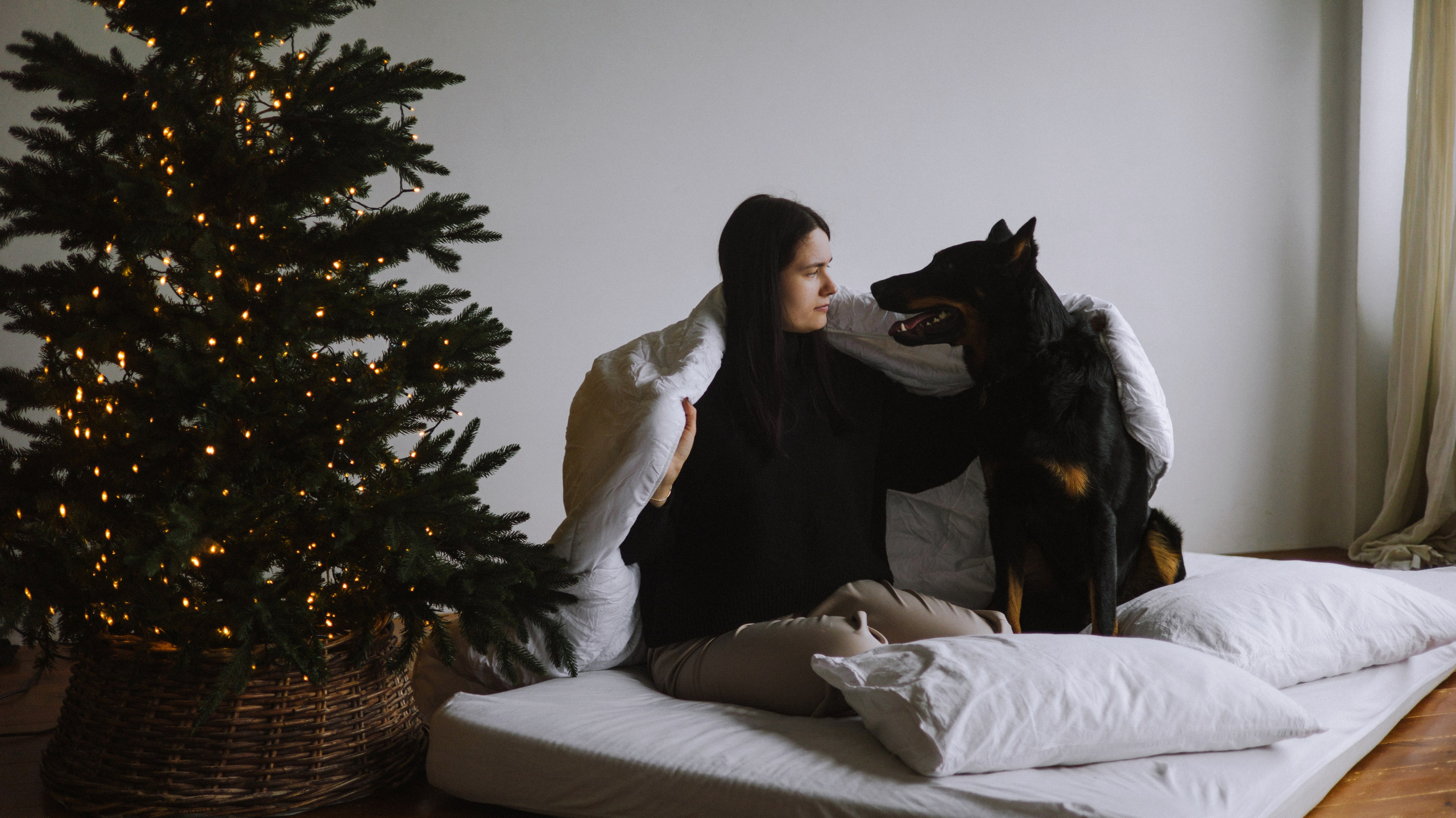Полина и Зевс. Фотограф-анималист Богданова Полина