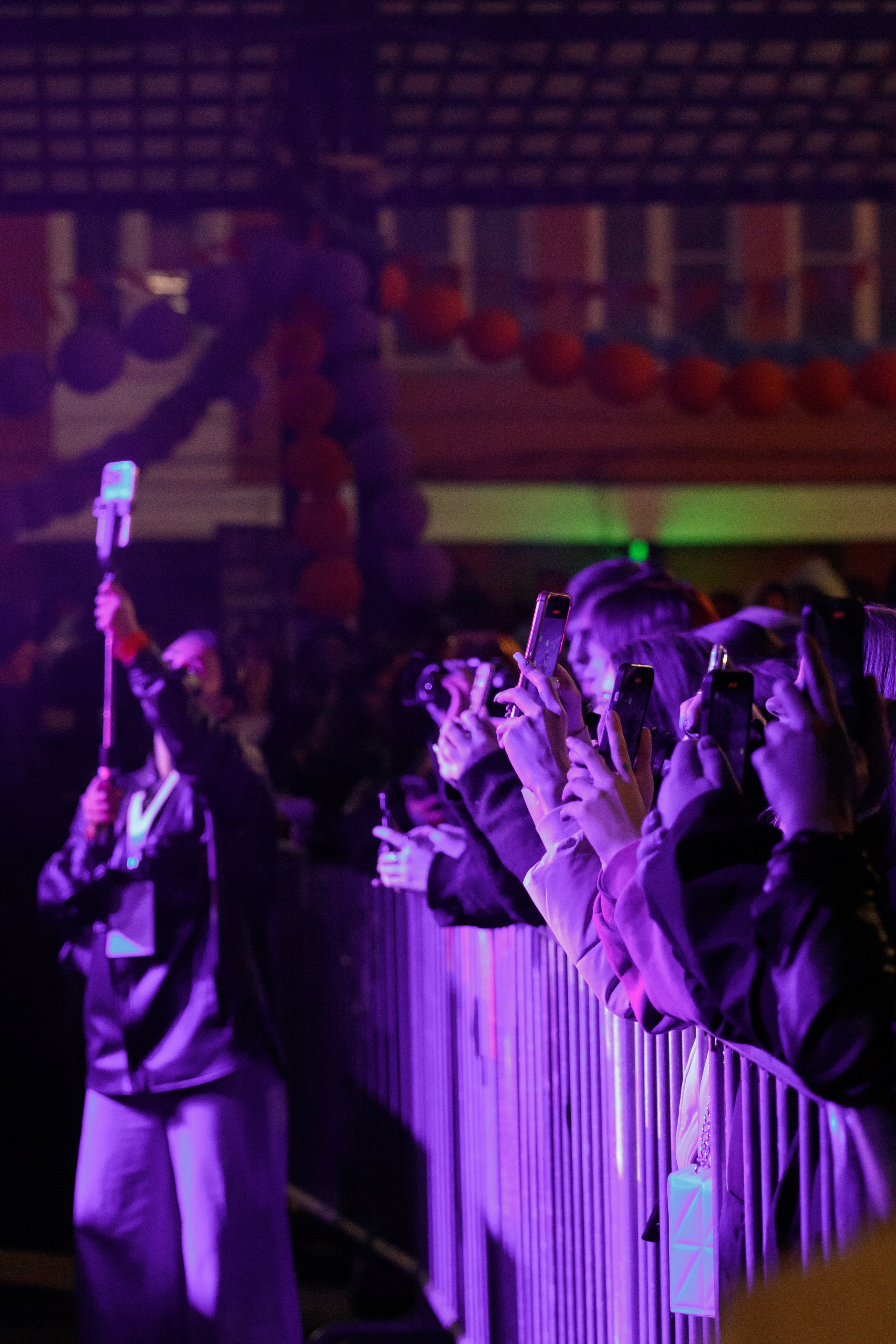 MIRELE. Концертный фотограф