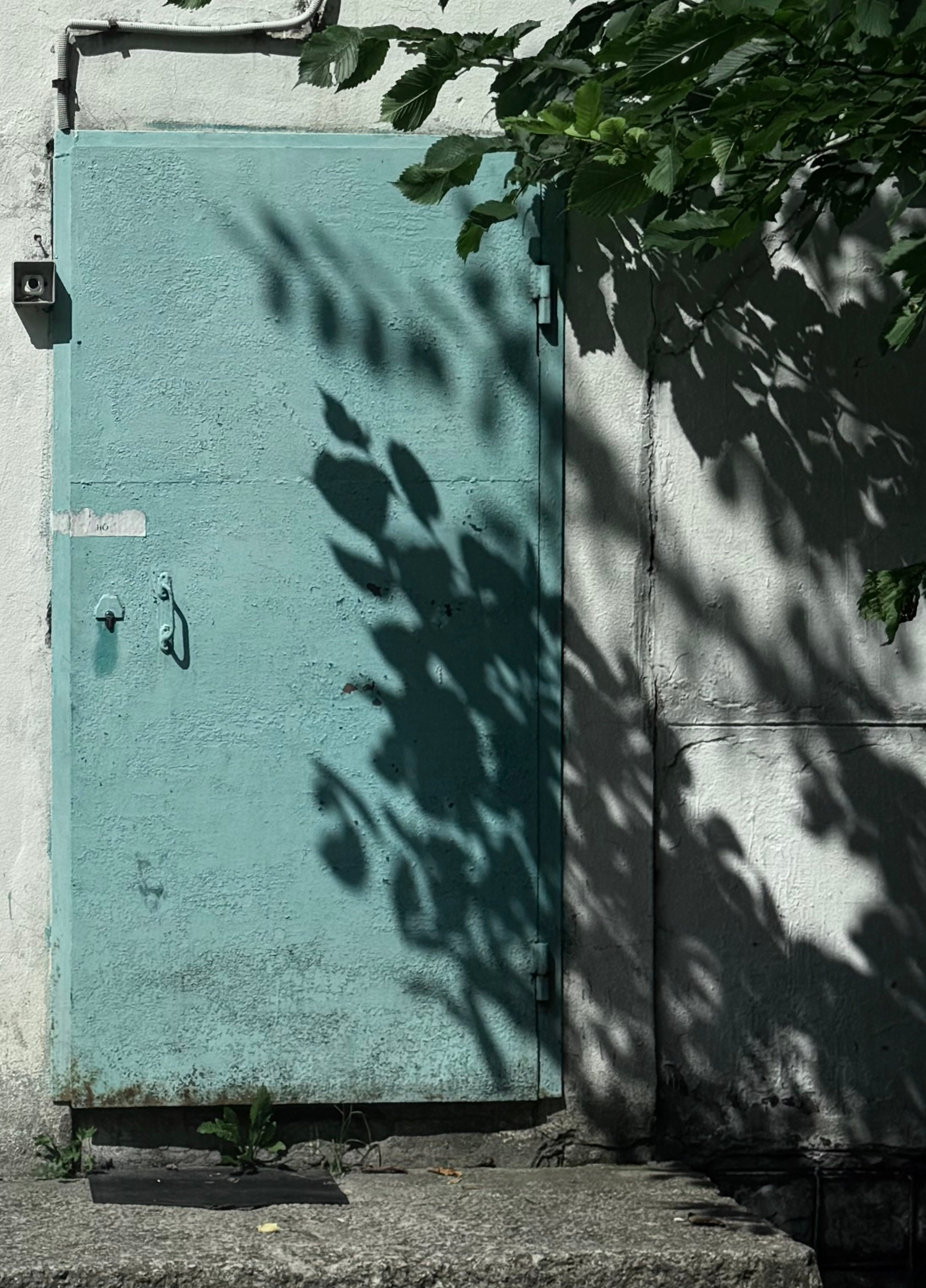 Уличный. Фотограф Арсений Королев