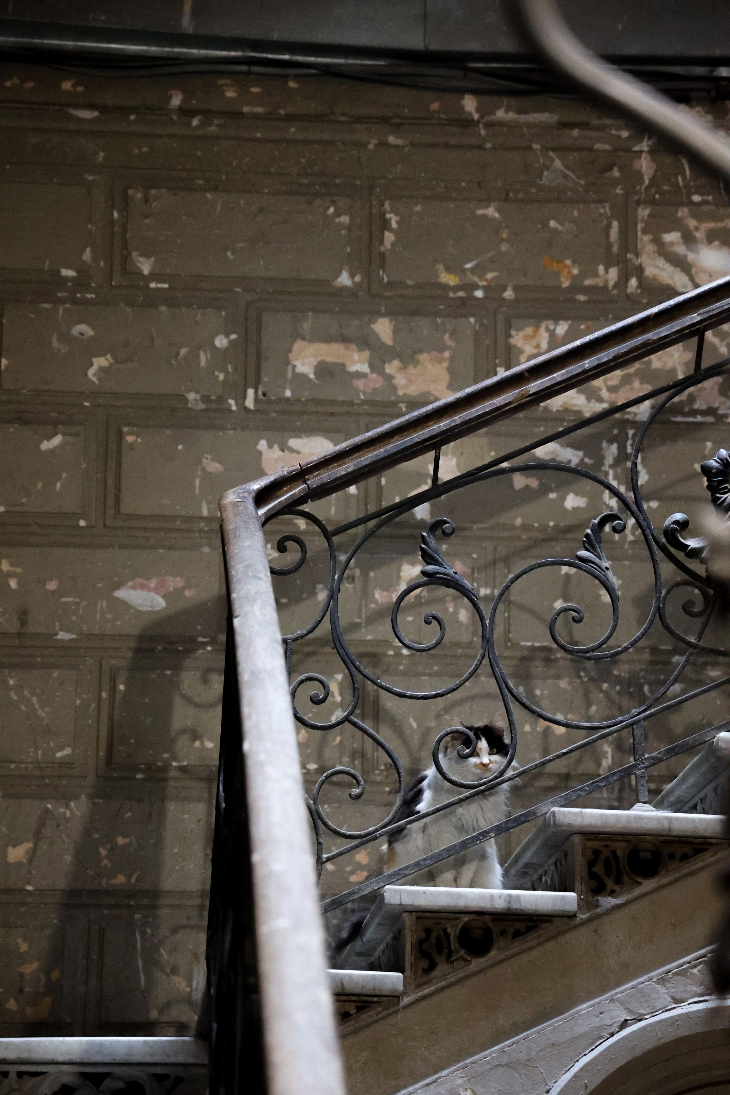 Любимое. Фотограф в Санкт-Петербурге Анна Сосновская