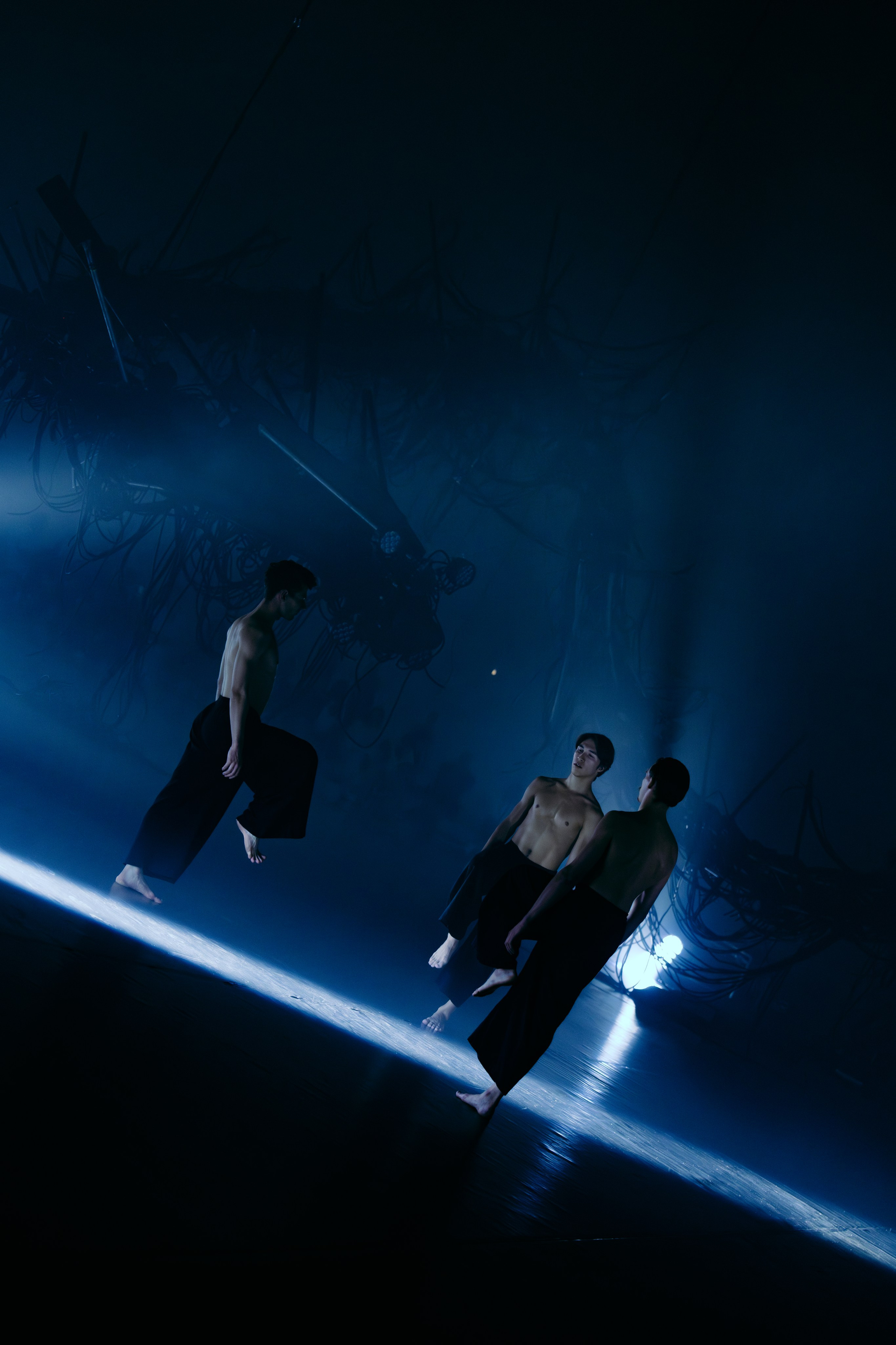 PERFORMA, The Hour of the Horse. @tomrus: Рустам Шагиморданов — фотограф