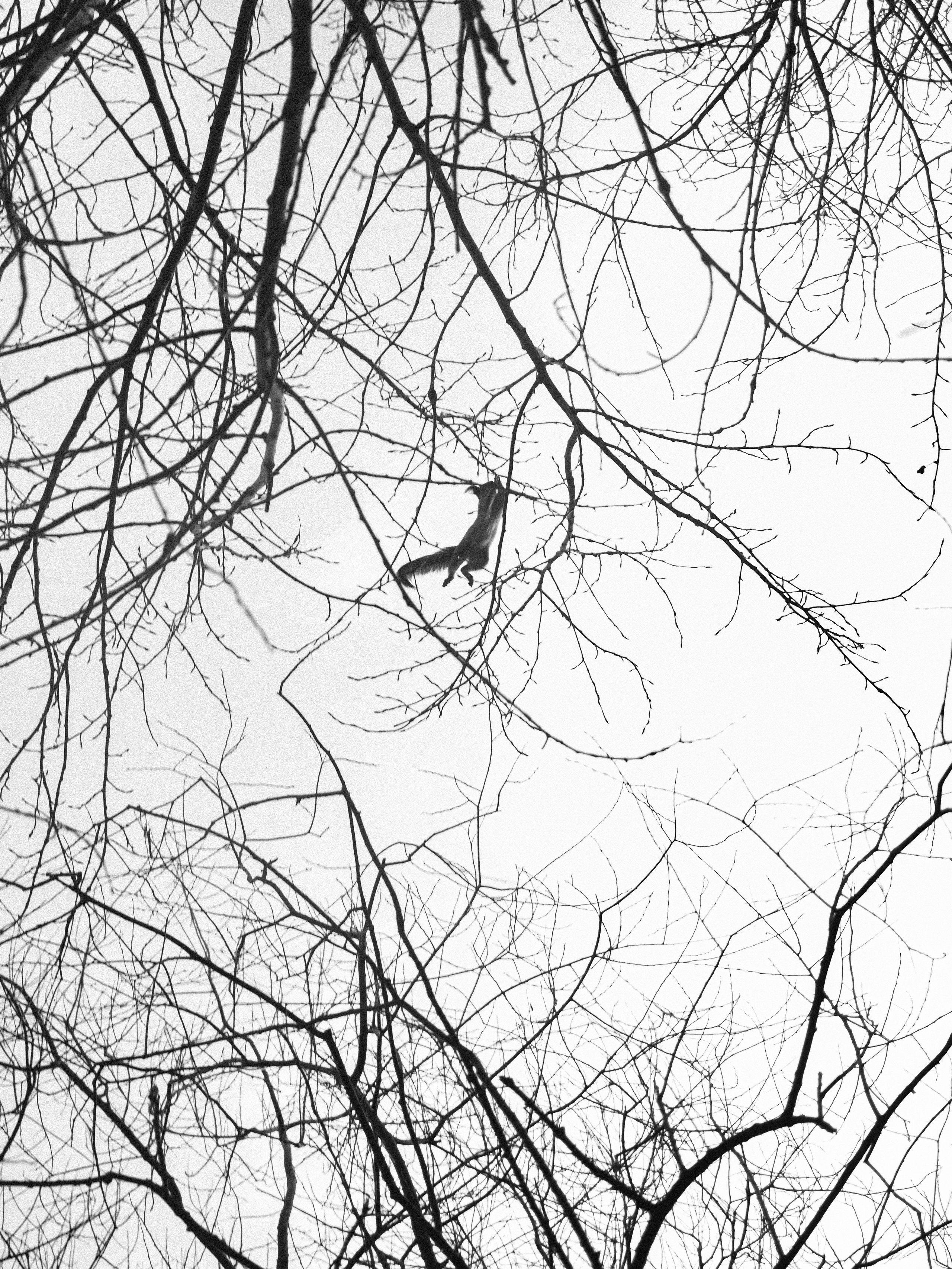 Moscow Selection. M. Neizvestniy — уличная и спортивная фотография