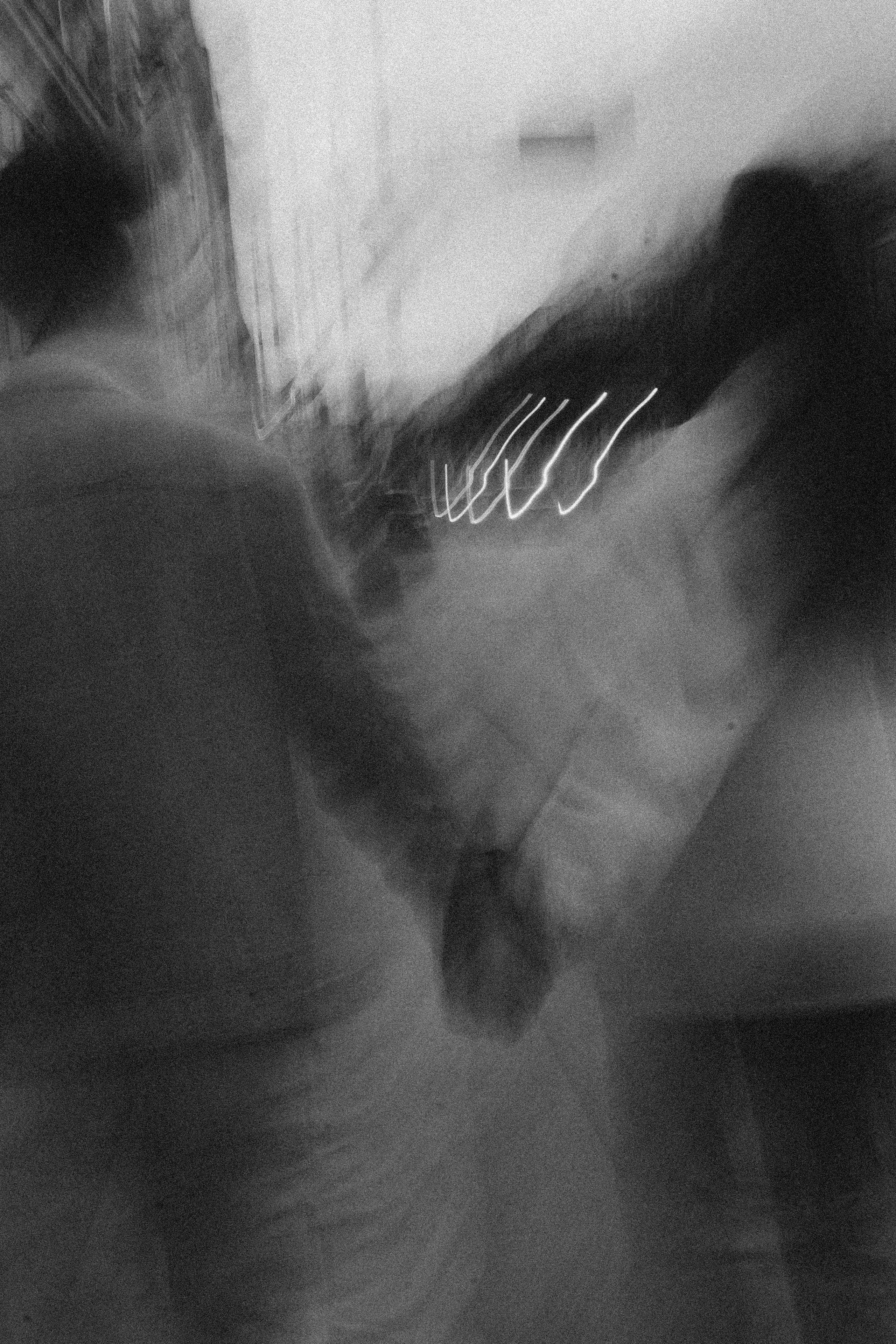 Прогулочная. Профессиональный фотограф, Санкт-Петербург — Виктория Богомолова