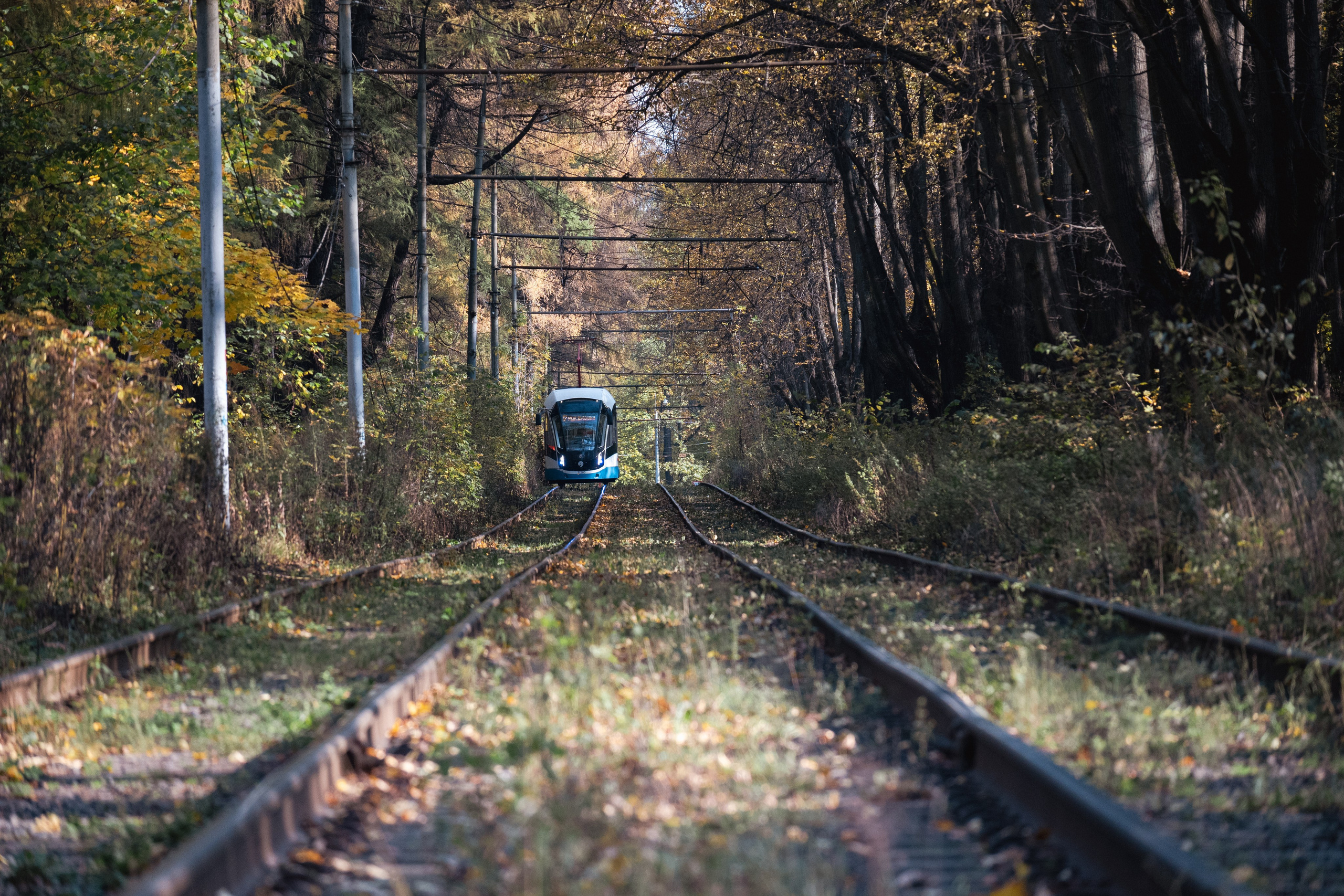 20241012 Измайлово. Дмитрий Ремизов. Фотография, как хобби