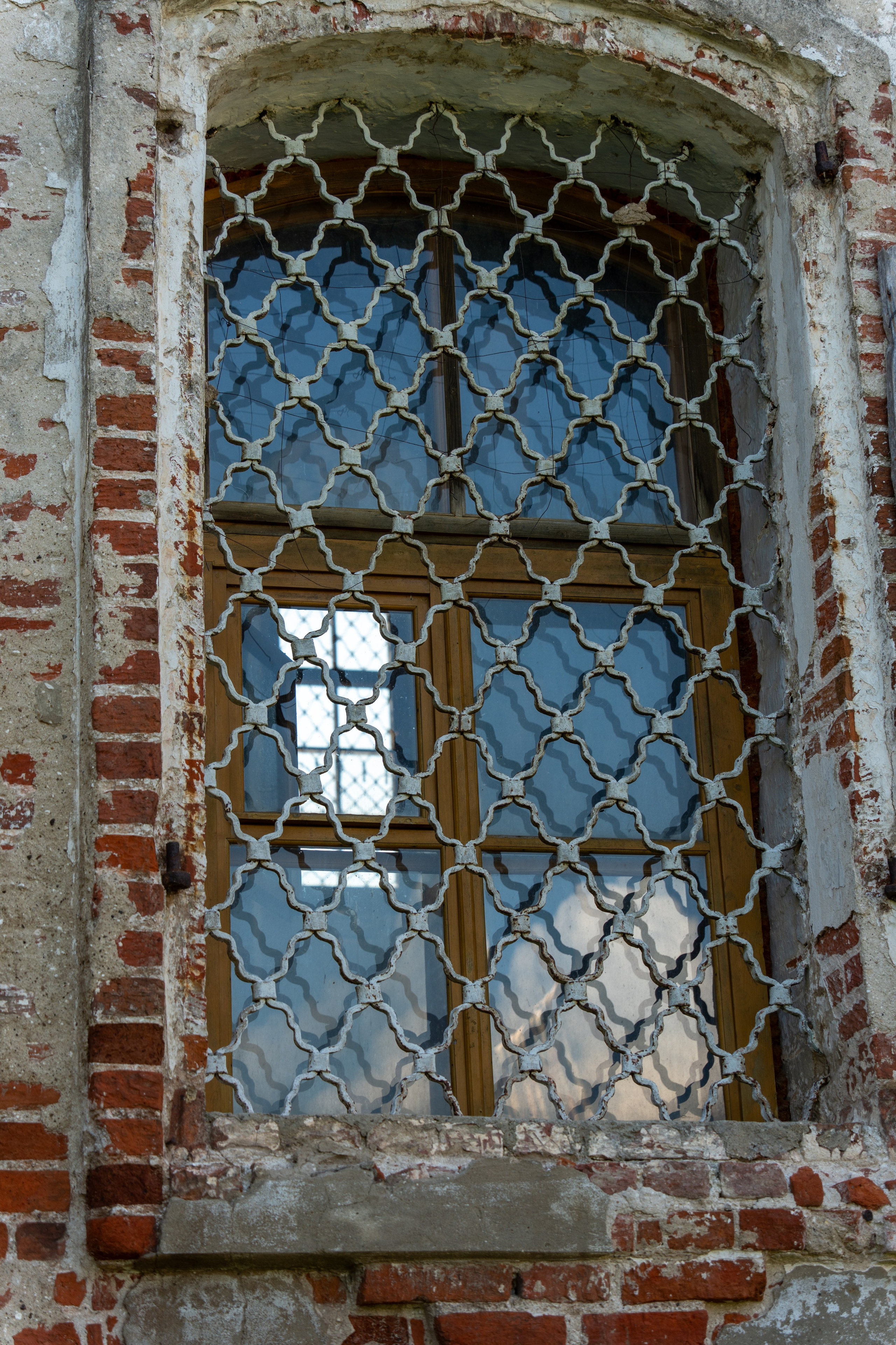 20250729-30 Ростов. Дмитрий Ремизов. Фотография, как хобби