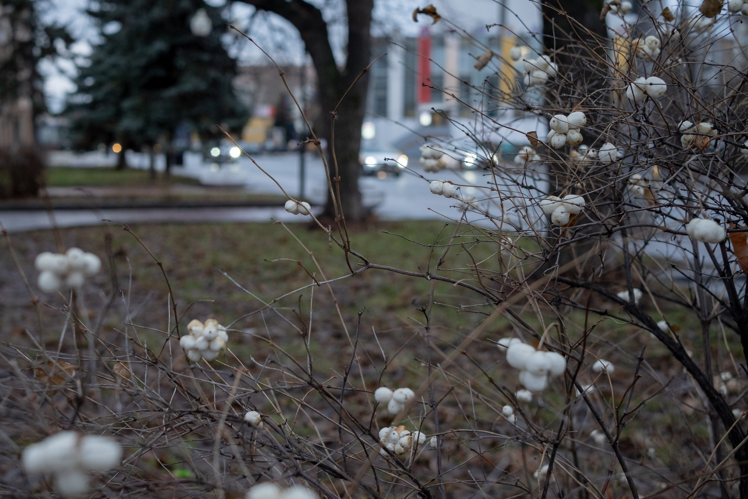 20250118 Павелецкая — Тульская. Дмитрий Ремизов. Фотография, как хобби