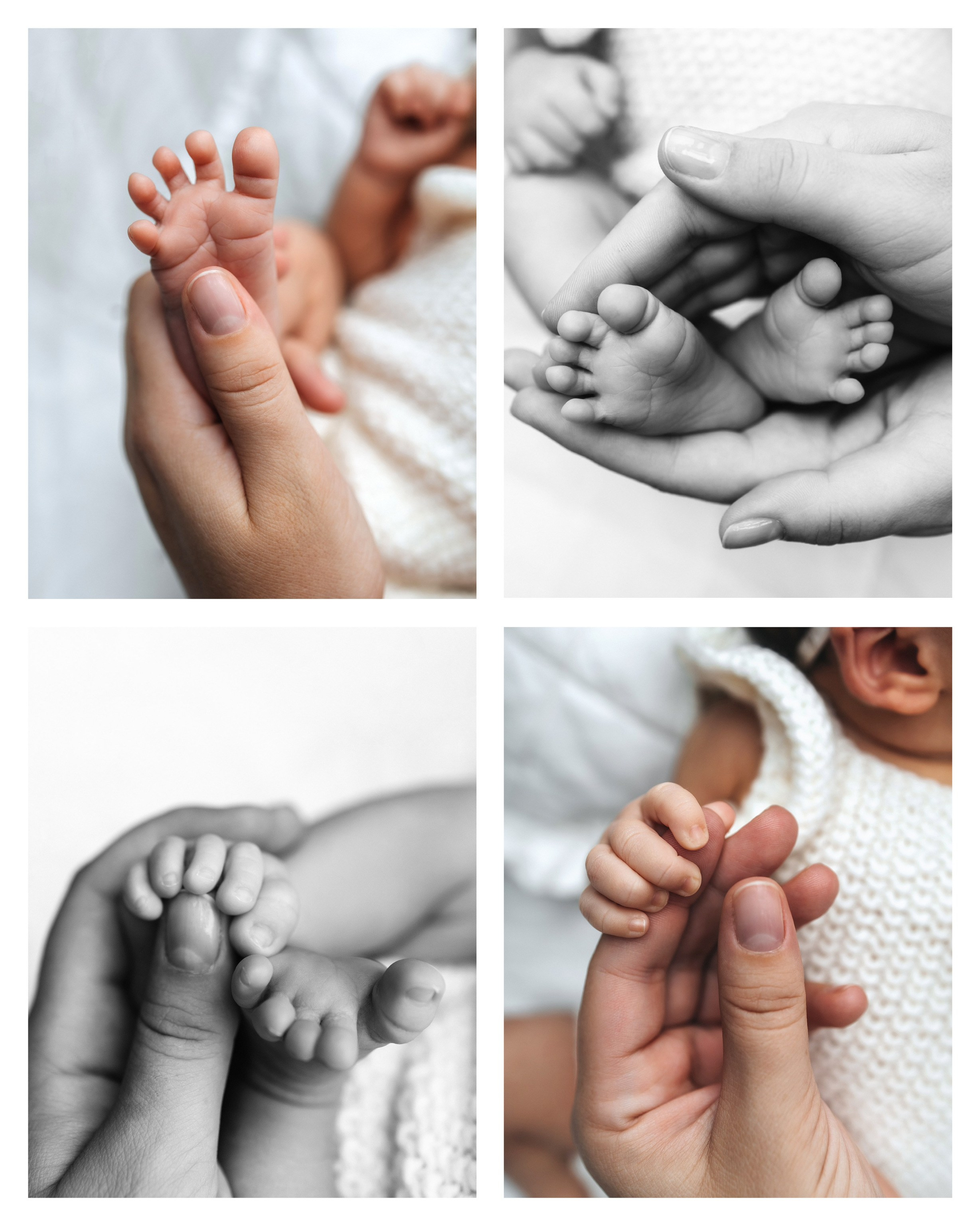 ПАКЕТ «Simple». Главная