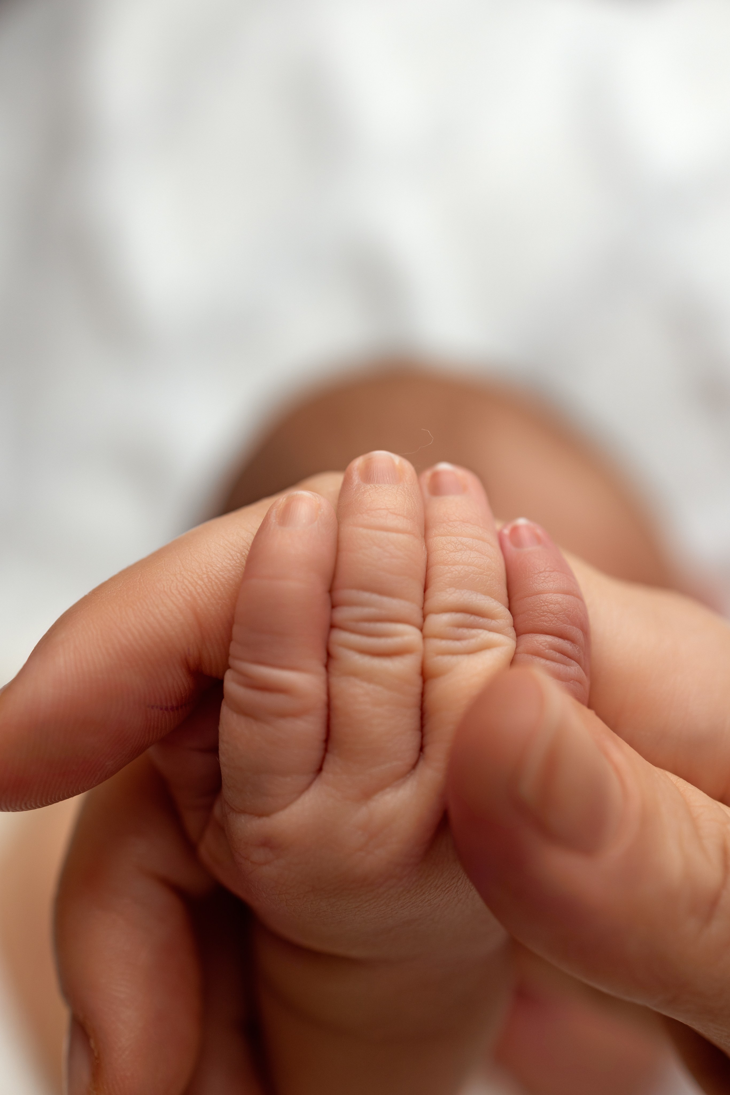 Новорожденные Lifestyle