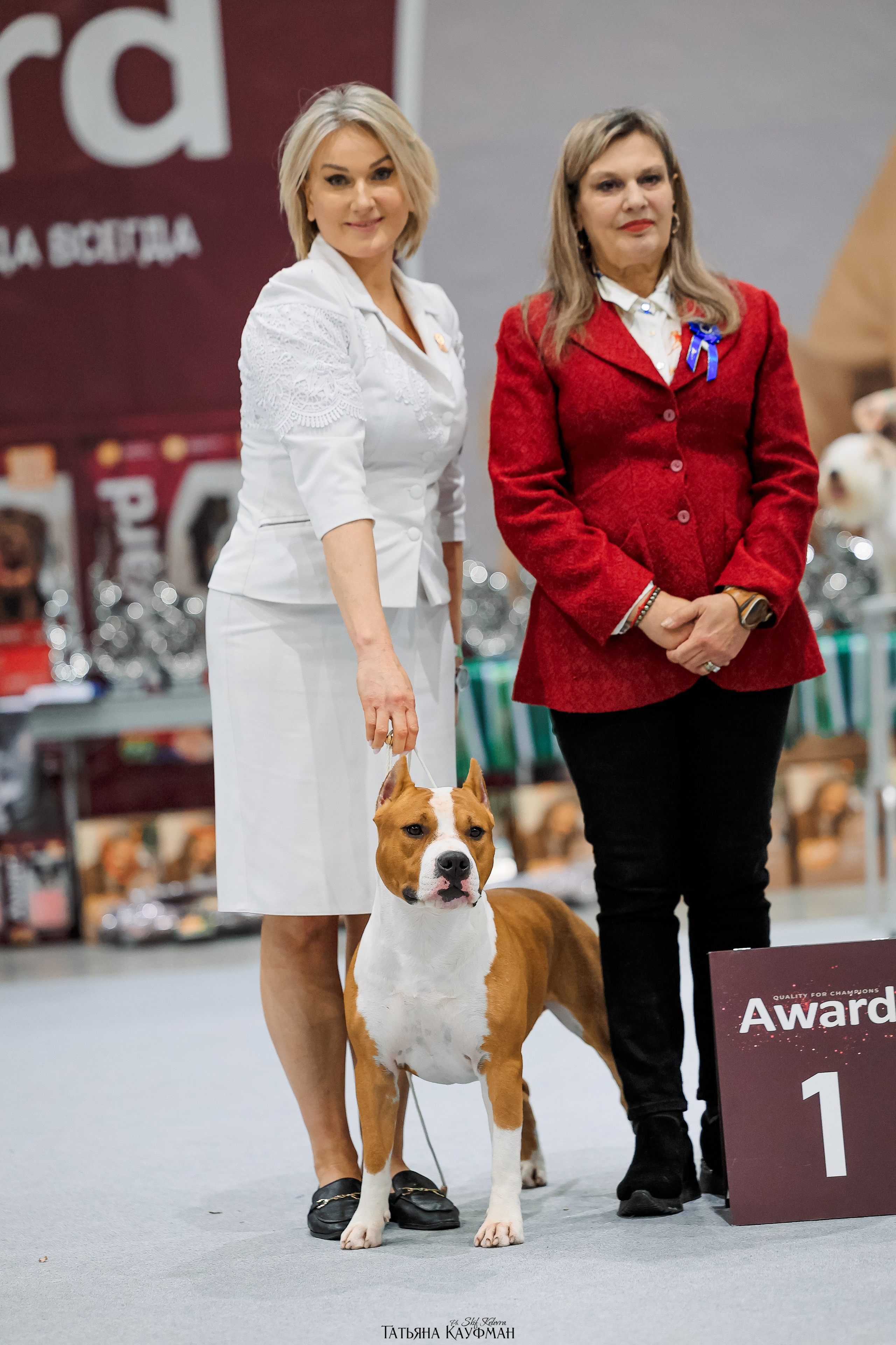 28-29.03.2026 Рейтинговая выставка в Новосибирске. Фотограф Анималист из Новосибирска Татьяна Кауфман