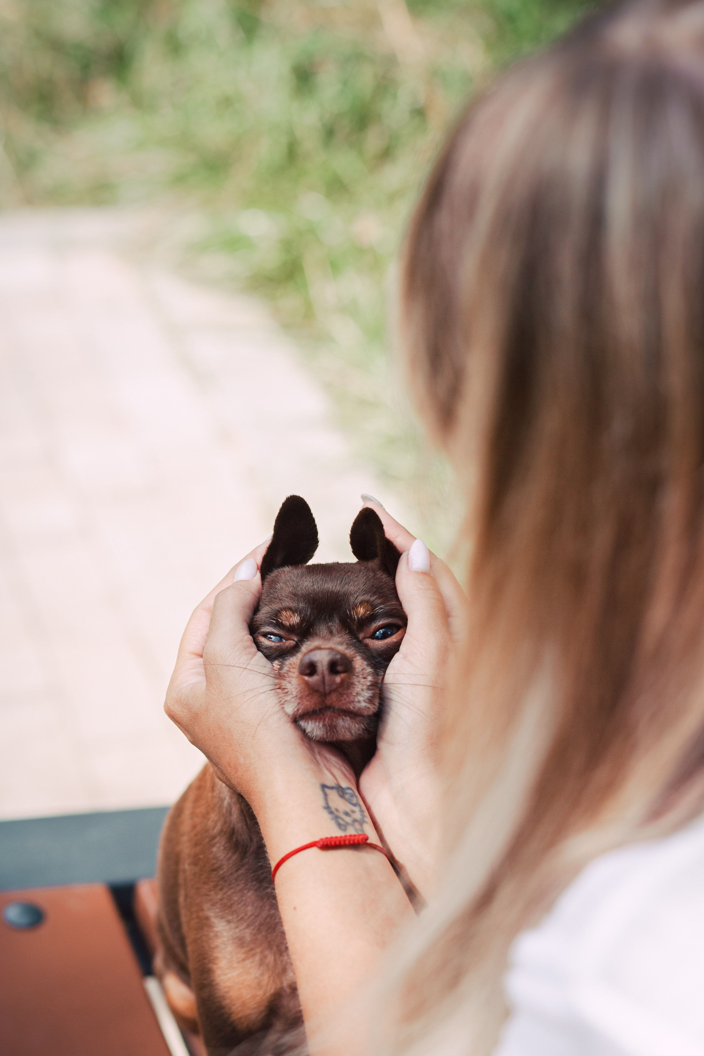 Восточный мост. Фотограф-анималист Татьяна Степанова