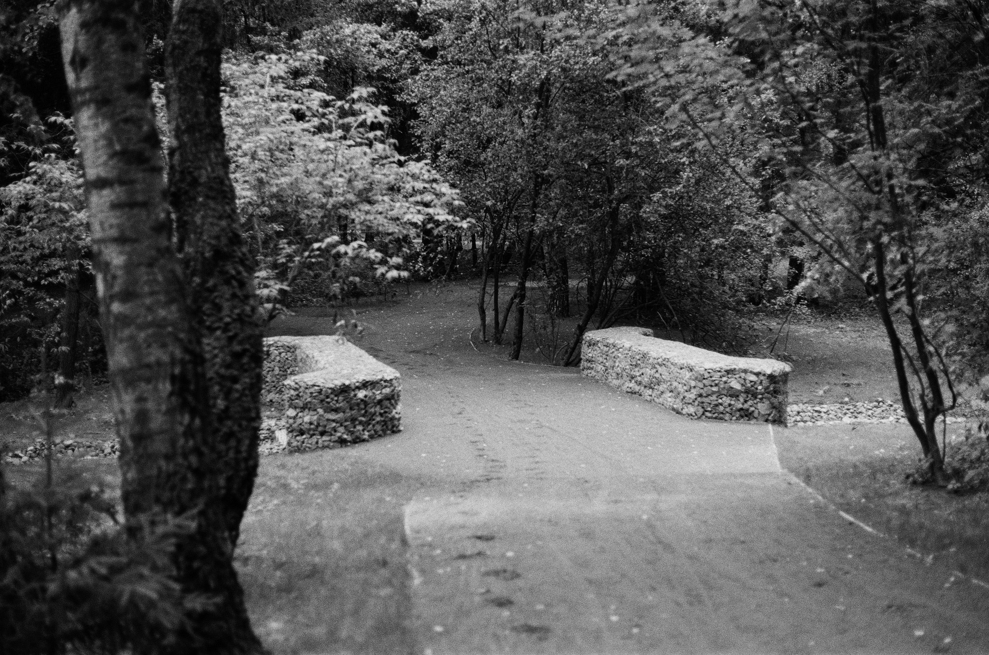 Borovsky Park. Another person Pavel Potseluev. A photographer in 2025