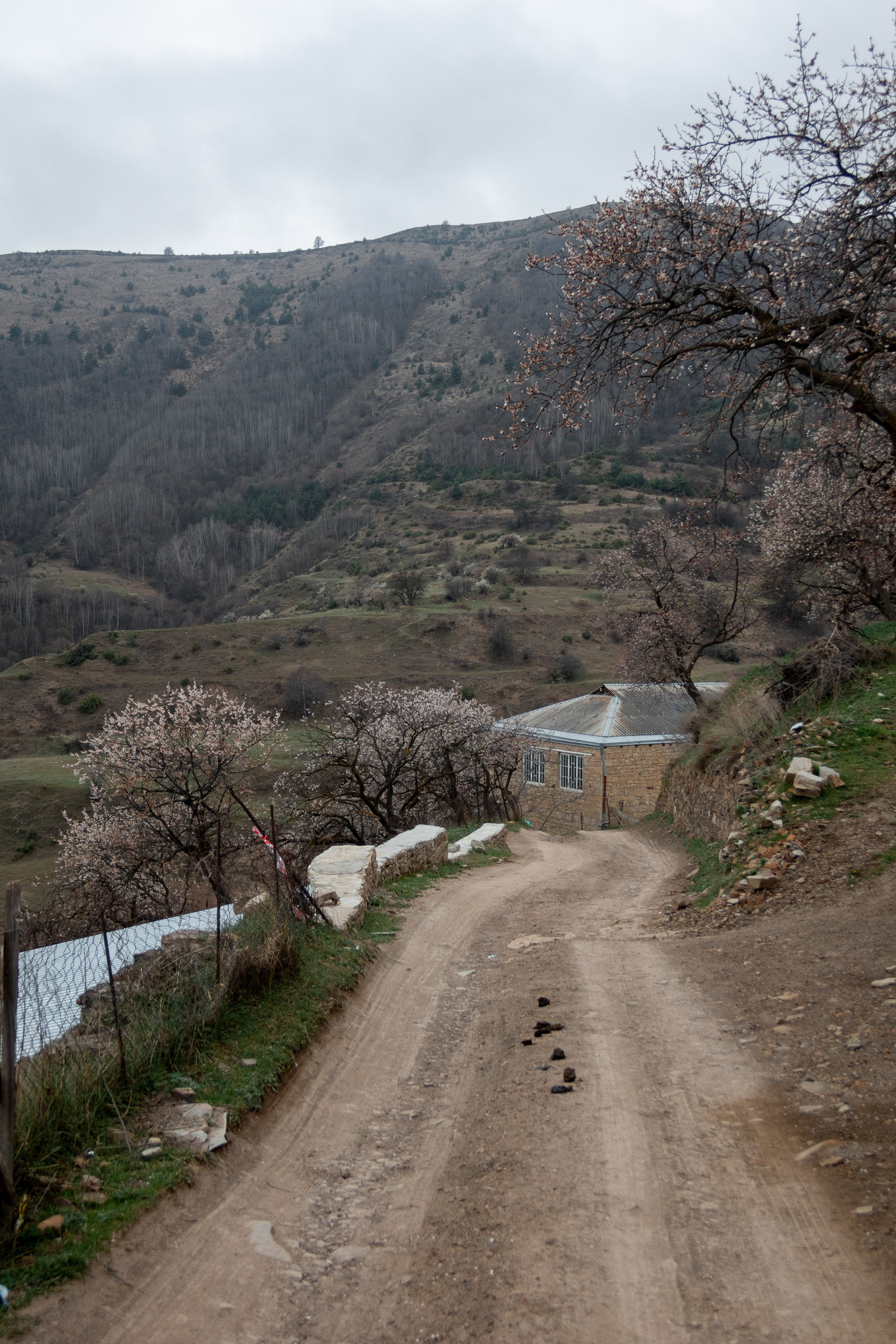 Поездка в Дагестан (село Гуниб) на съемку трейла Wild Trail. Павел Шарапов | Фотограф | Москва