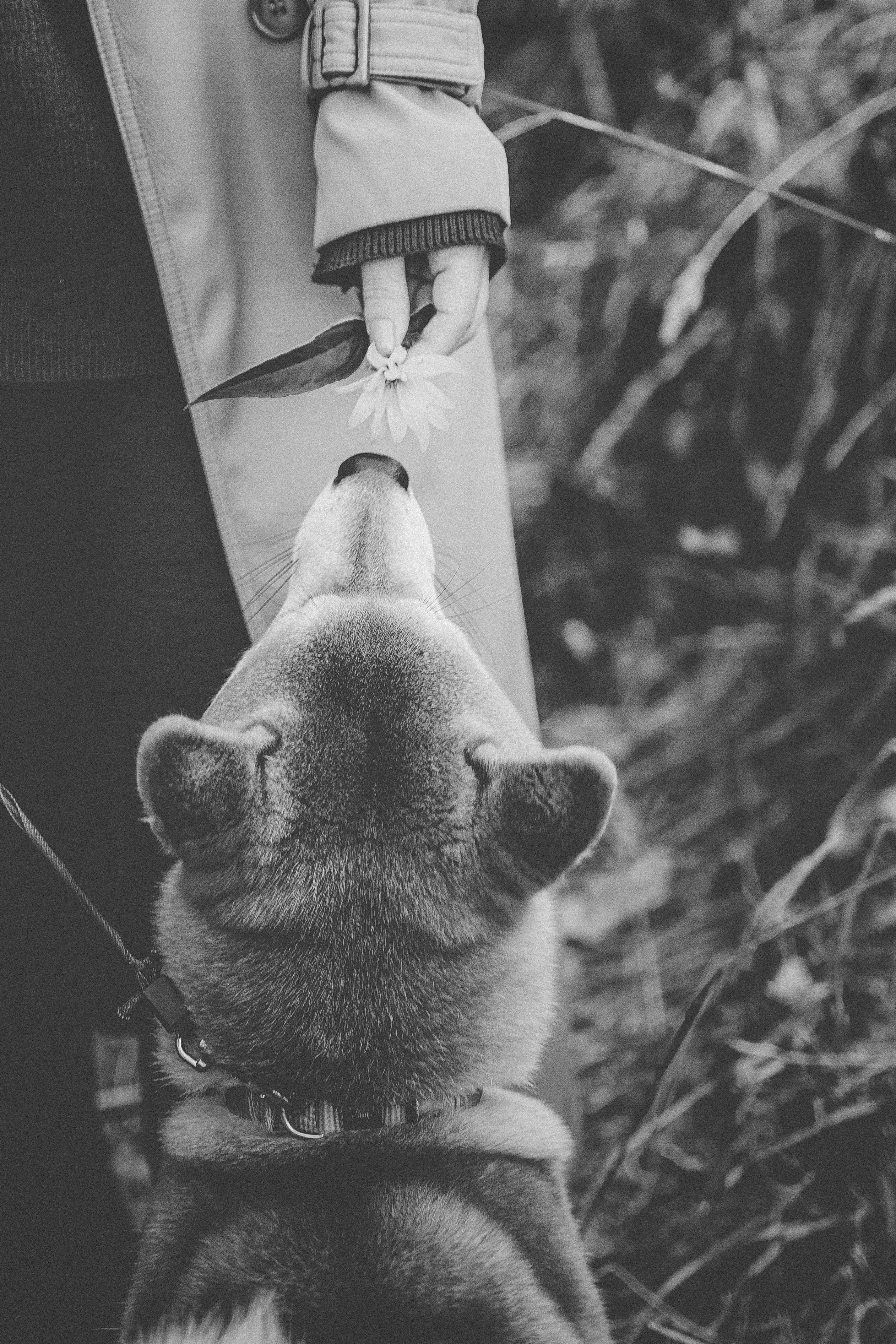Милана и Вова. Фотограф Нинель Гюрсой, г. Москва