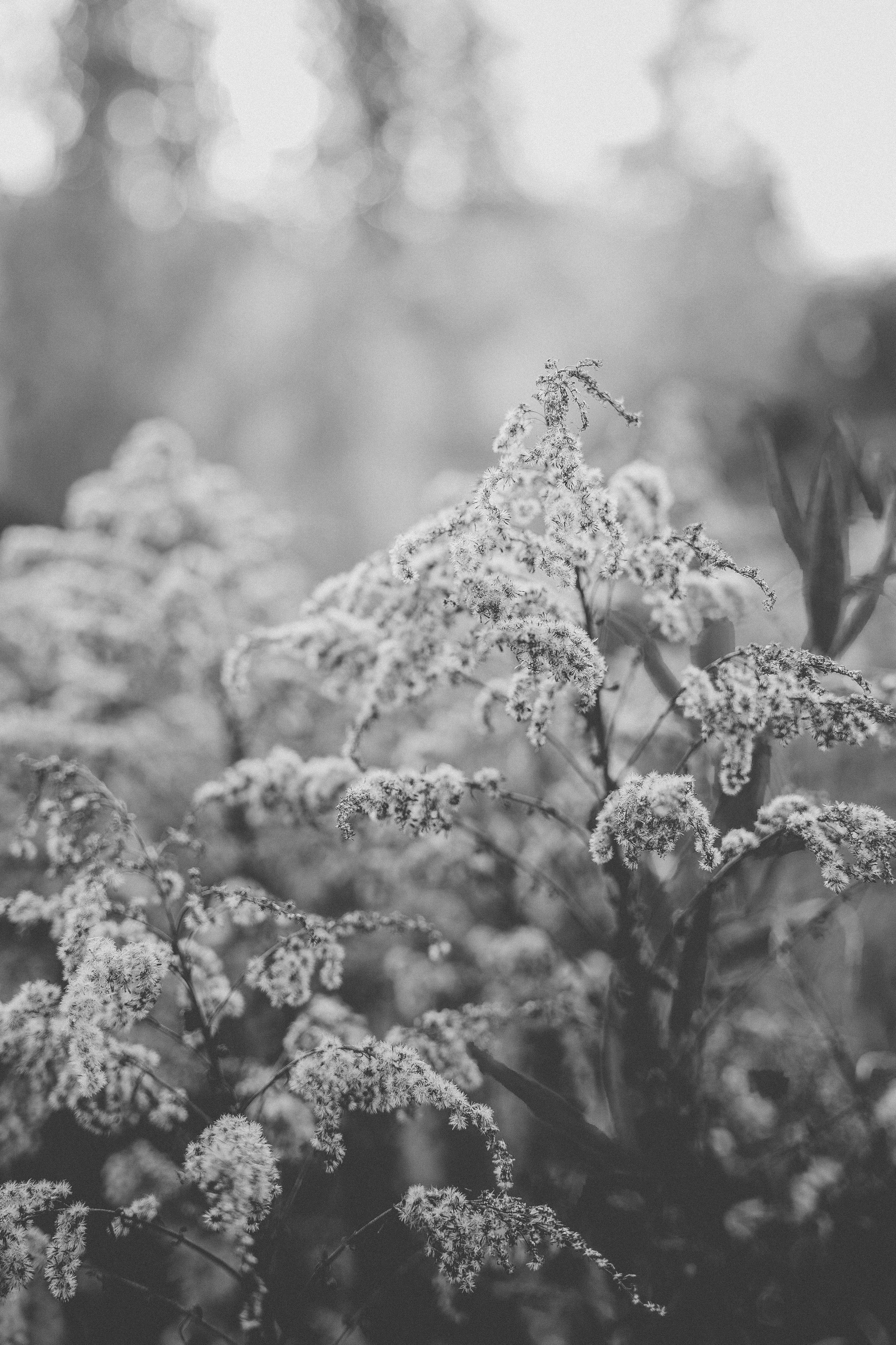 Милана и Вова. Фотограф Нинель Гюрсой, г. Москва