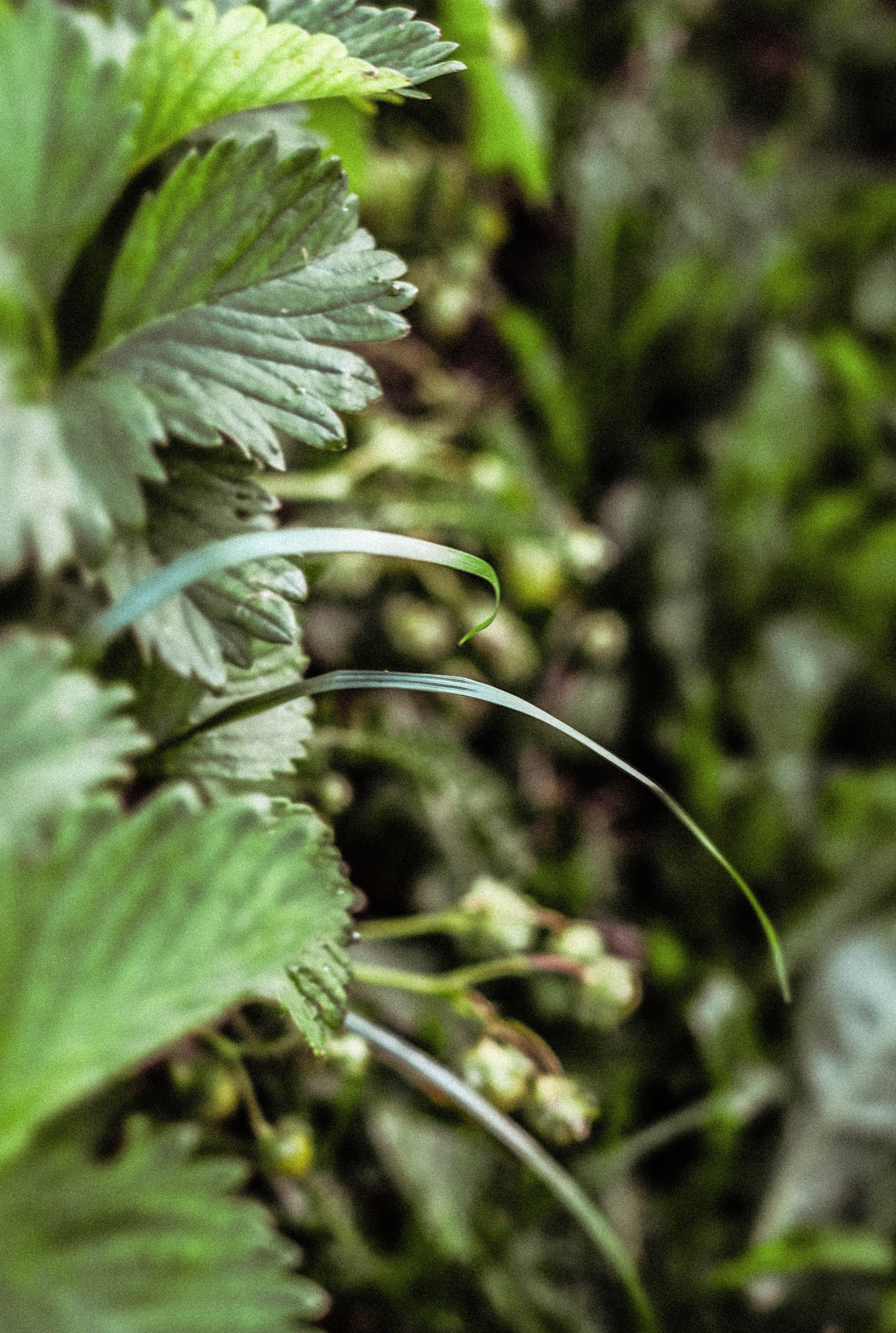 Курс «Психология на грядке». АRТ&PSY | Искусство психологии