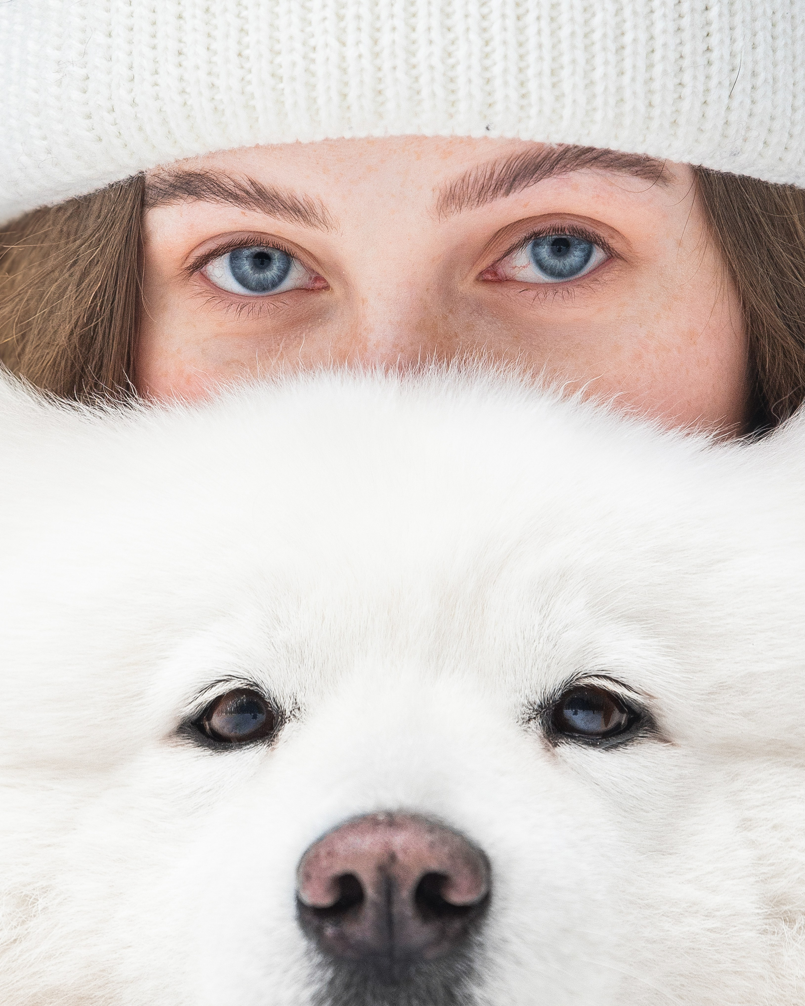 Валя, Варя и Лада. Фотограф анималист в Москве Майорова Евгения