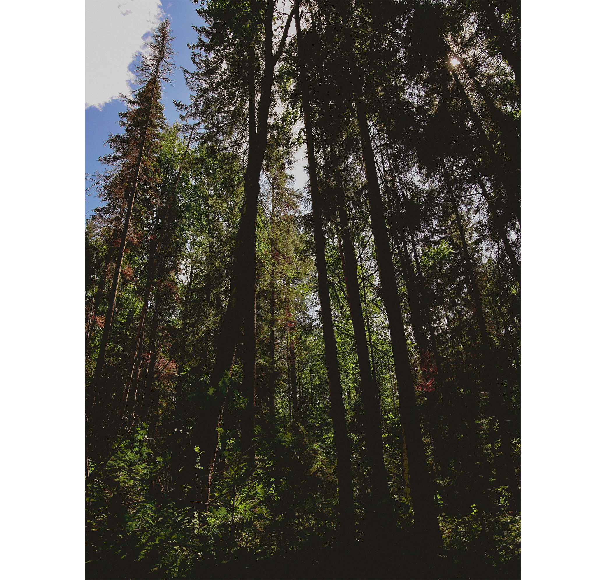 Summer hike. Фотограф/дизайнер в Екатеринбурге Хитрый Дмитрий