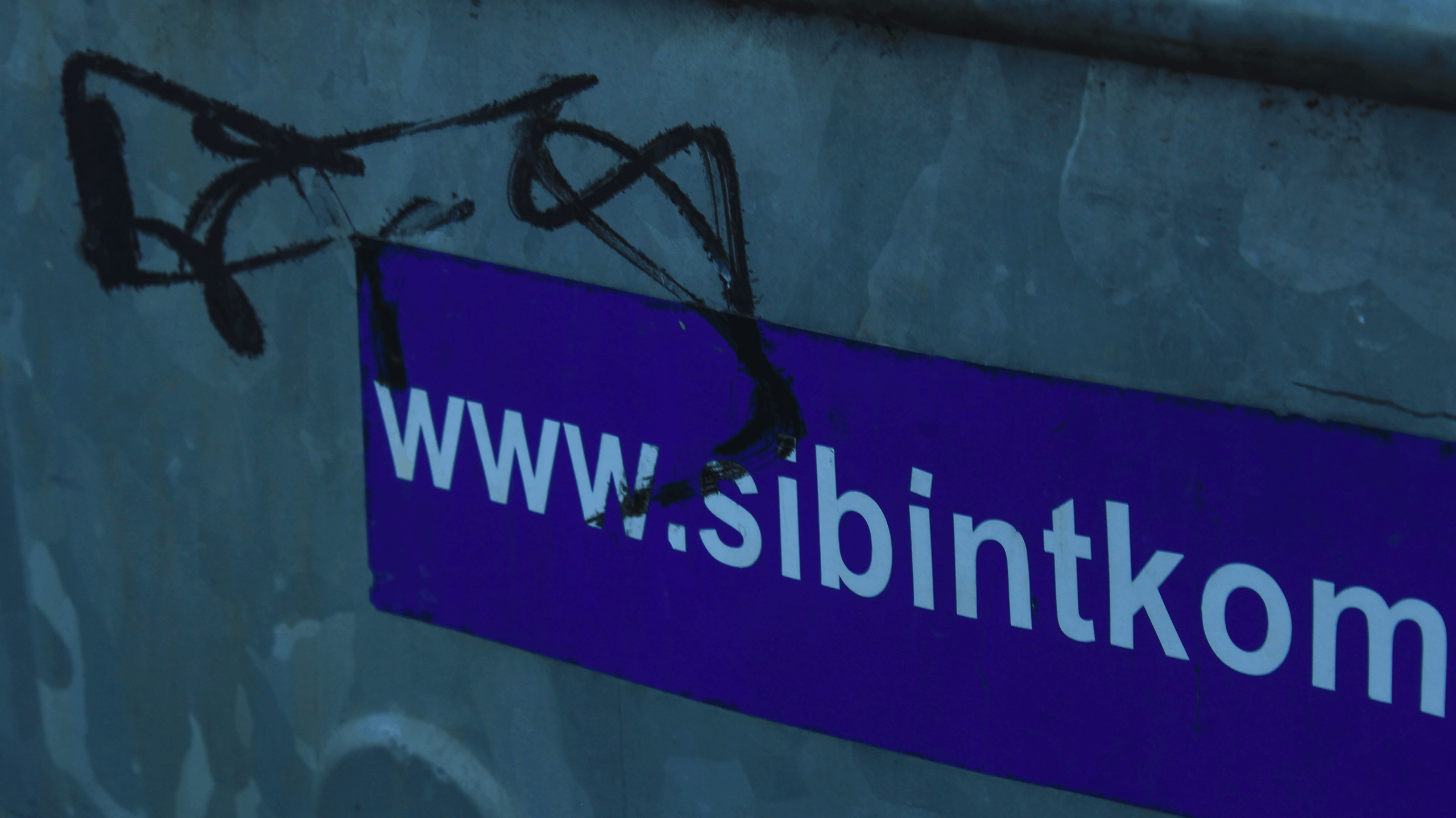 TMN autumn '24. Фотограф/дизайнер в Екатеринбурге Хитрый Дмитрий