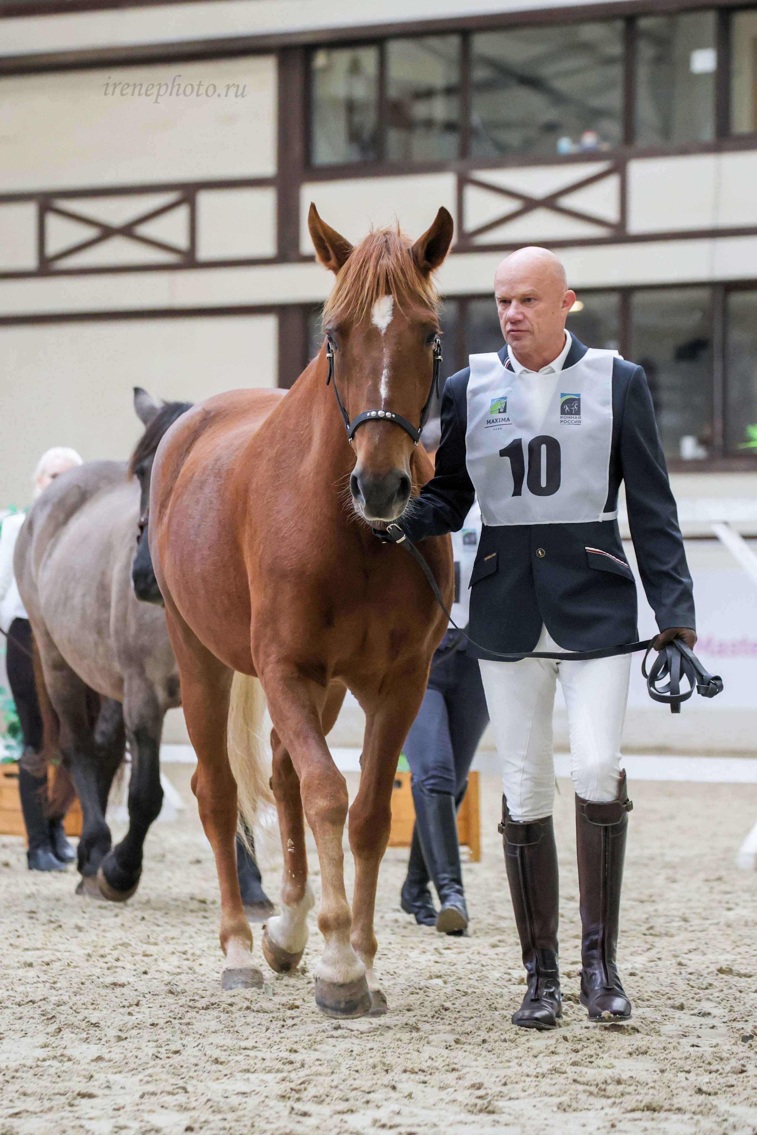 Конная Россия 2024. Irenephoto.ru