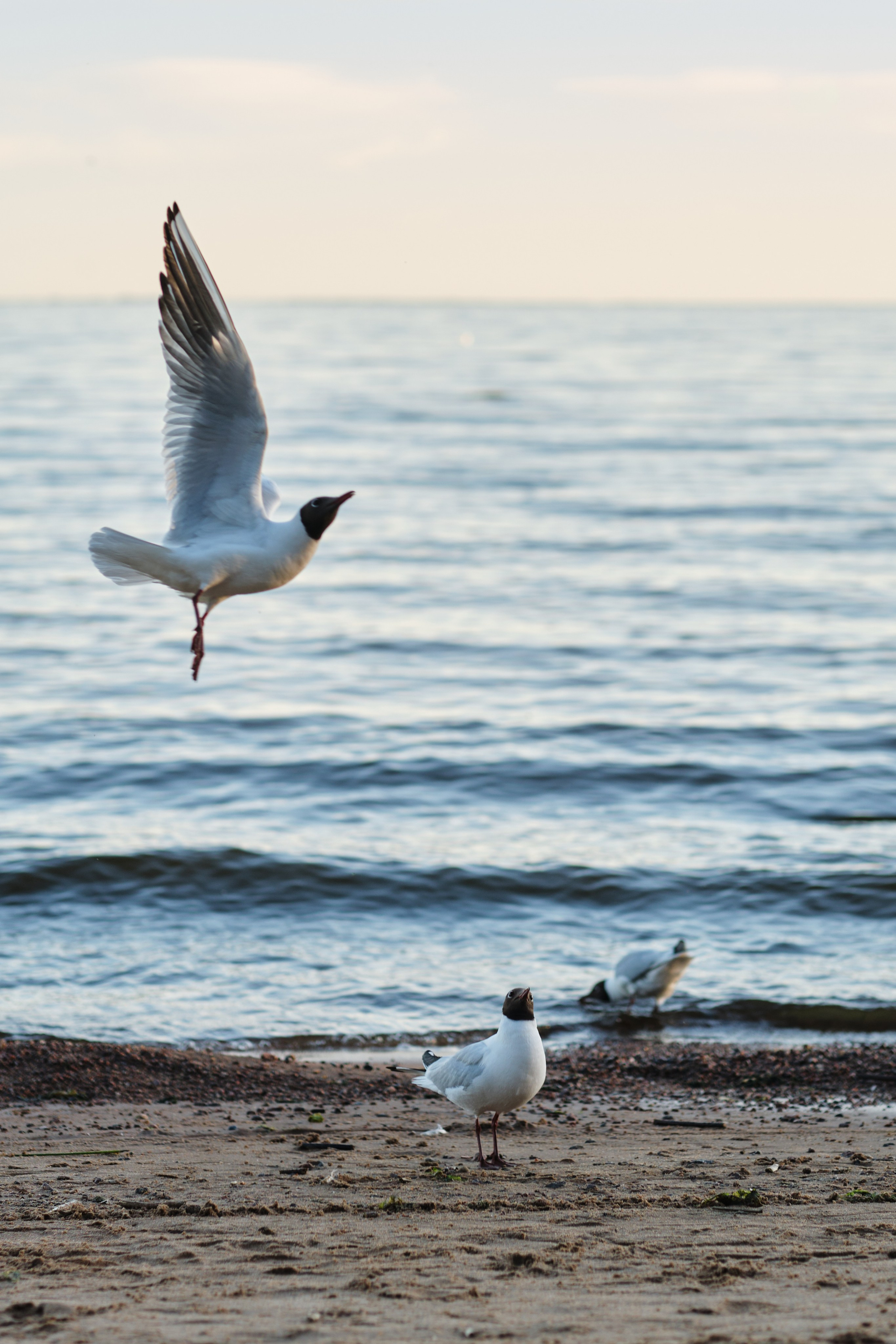 Анна и Дмитрий. Фотограф в Москве и Санкт-Петербурге