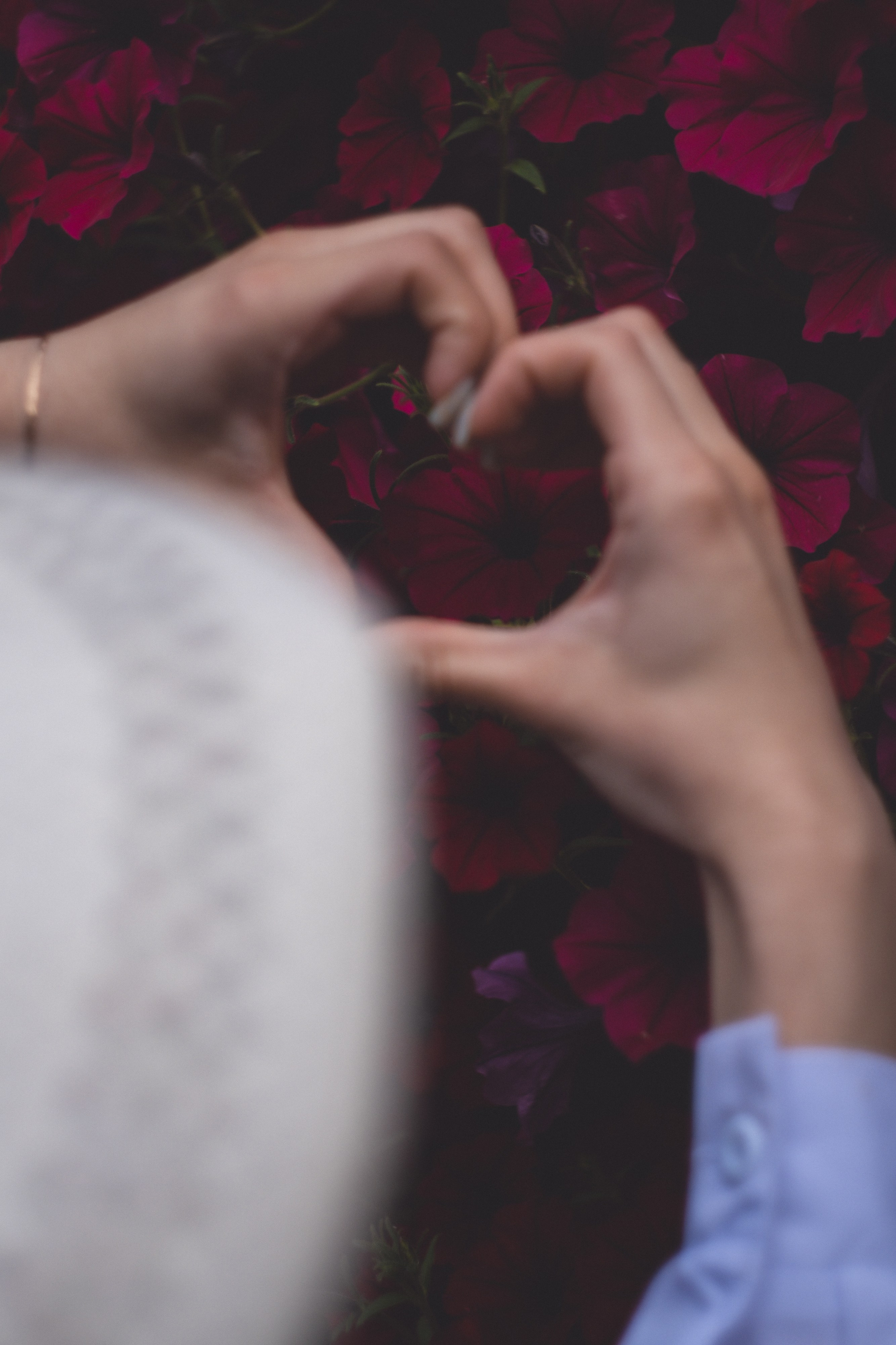 Карина. На трамвае по городу. Дмитрий Пропадалин, Нейрофотография