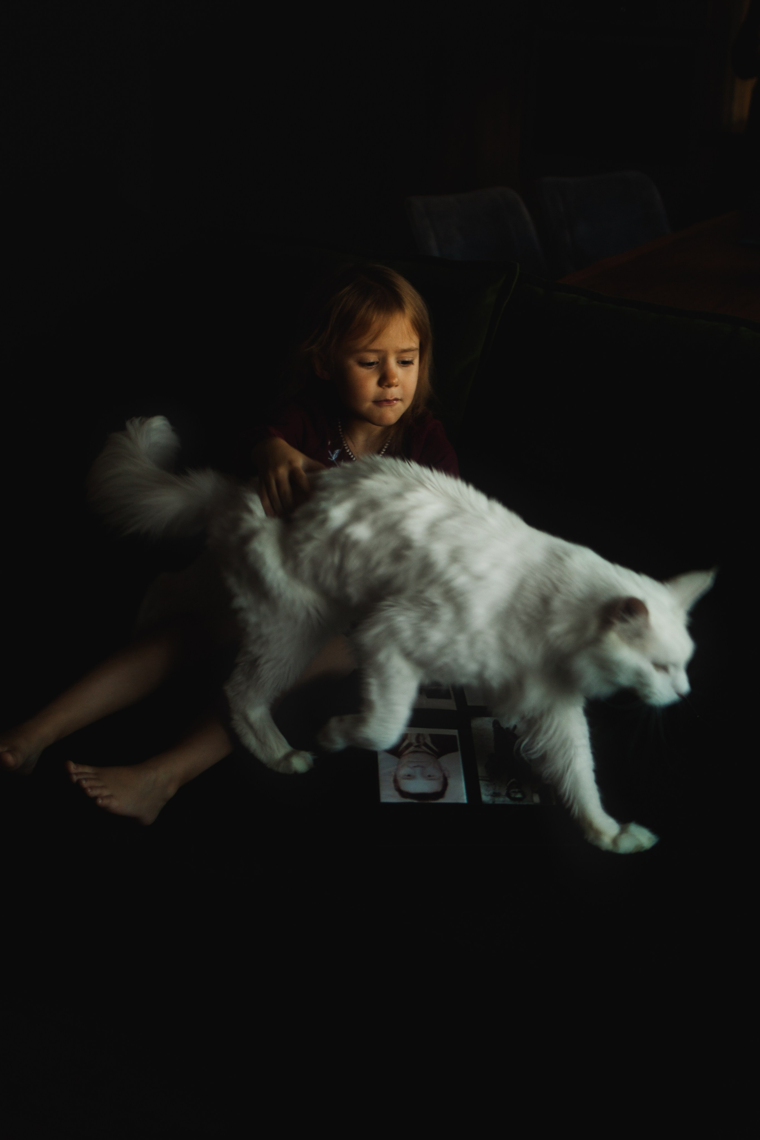 Семейный детский фотограф в Калининграде Анна Каратай