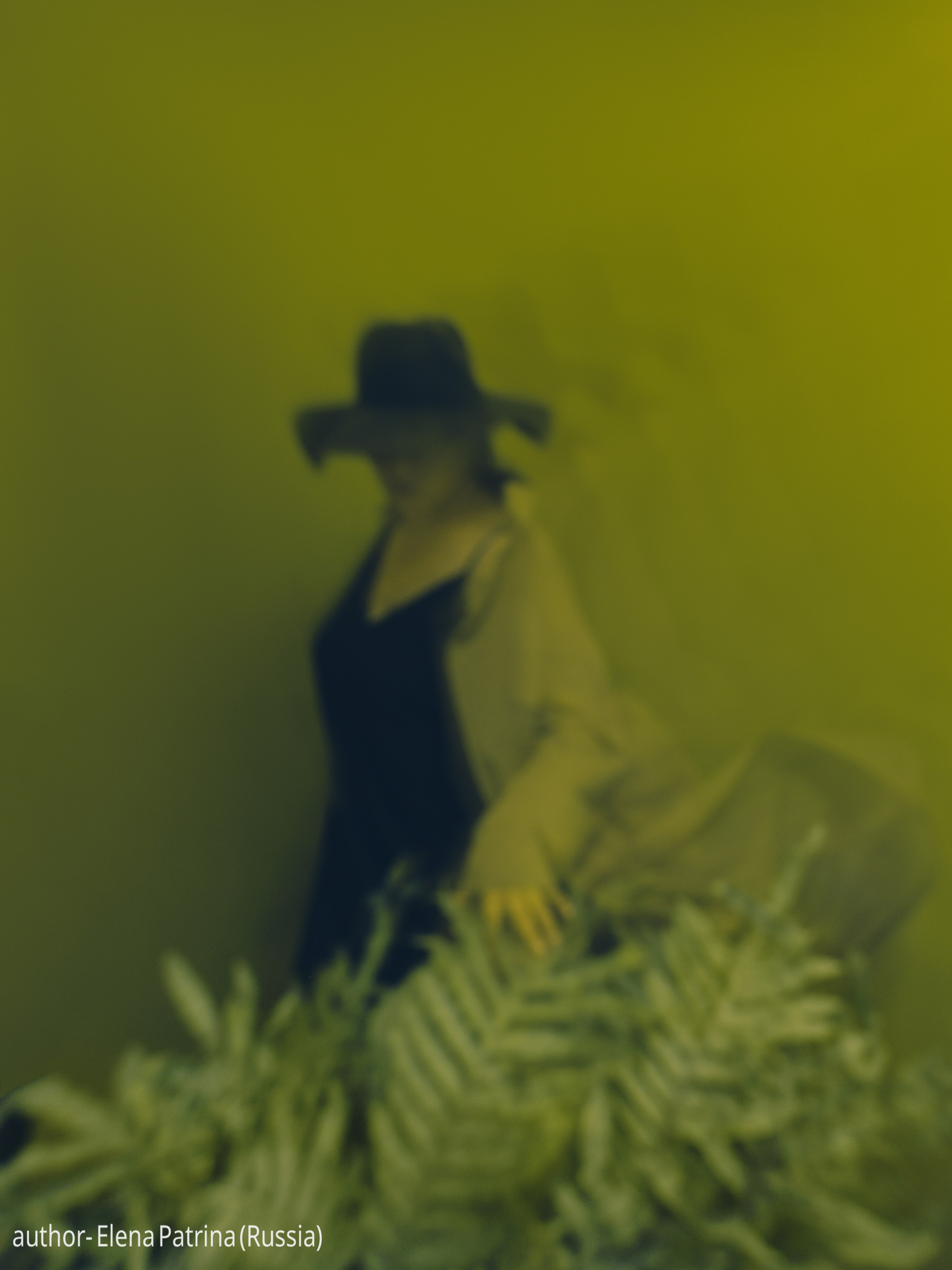 Gallery. UNUSUAL TALENT magazine