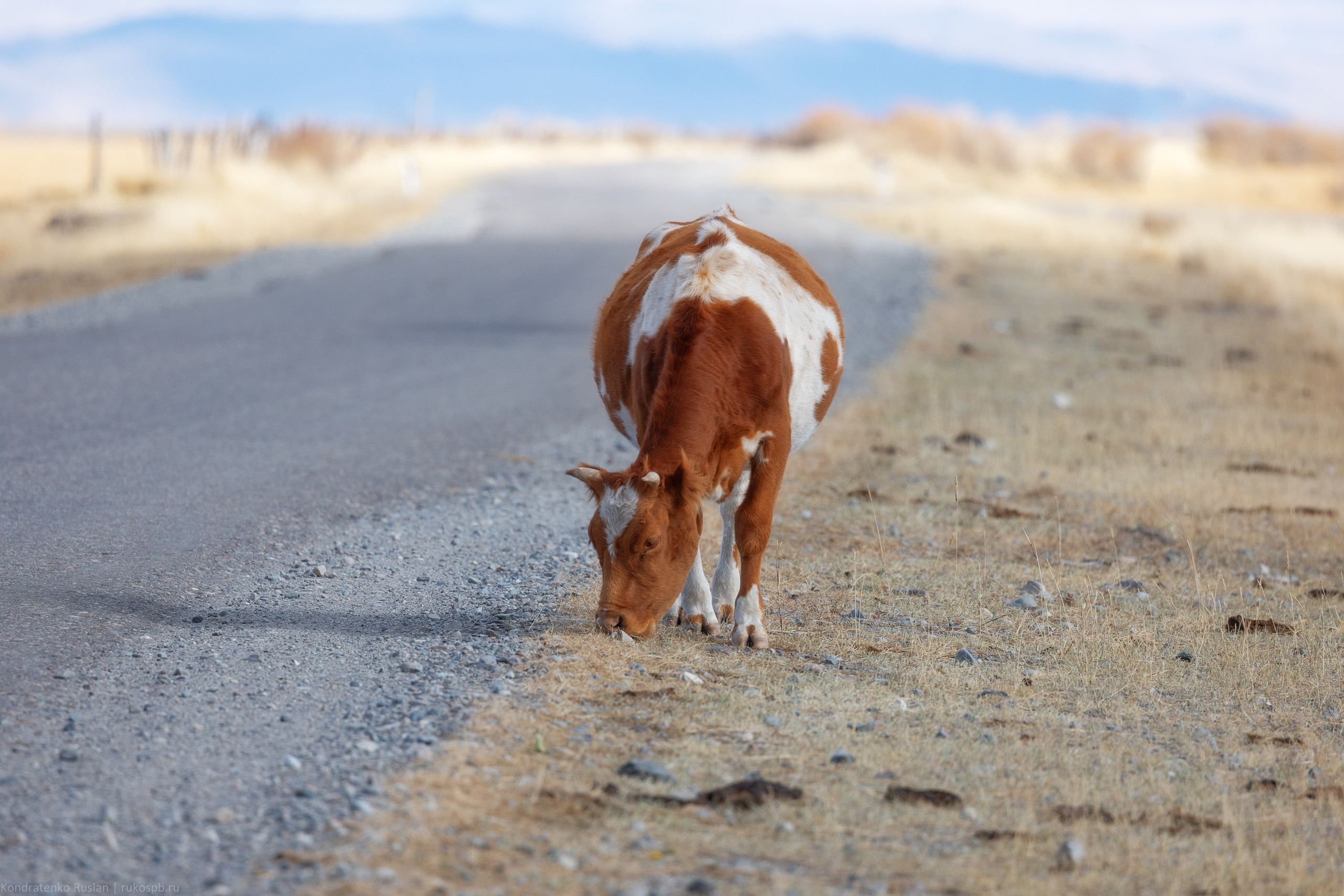 Горный Алтай. Архитектурный и пейзажный фотограф Кондратенко Руслан, Санкт-Петербург
