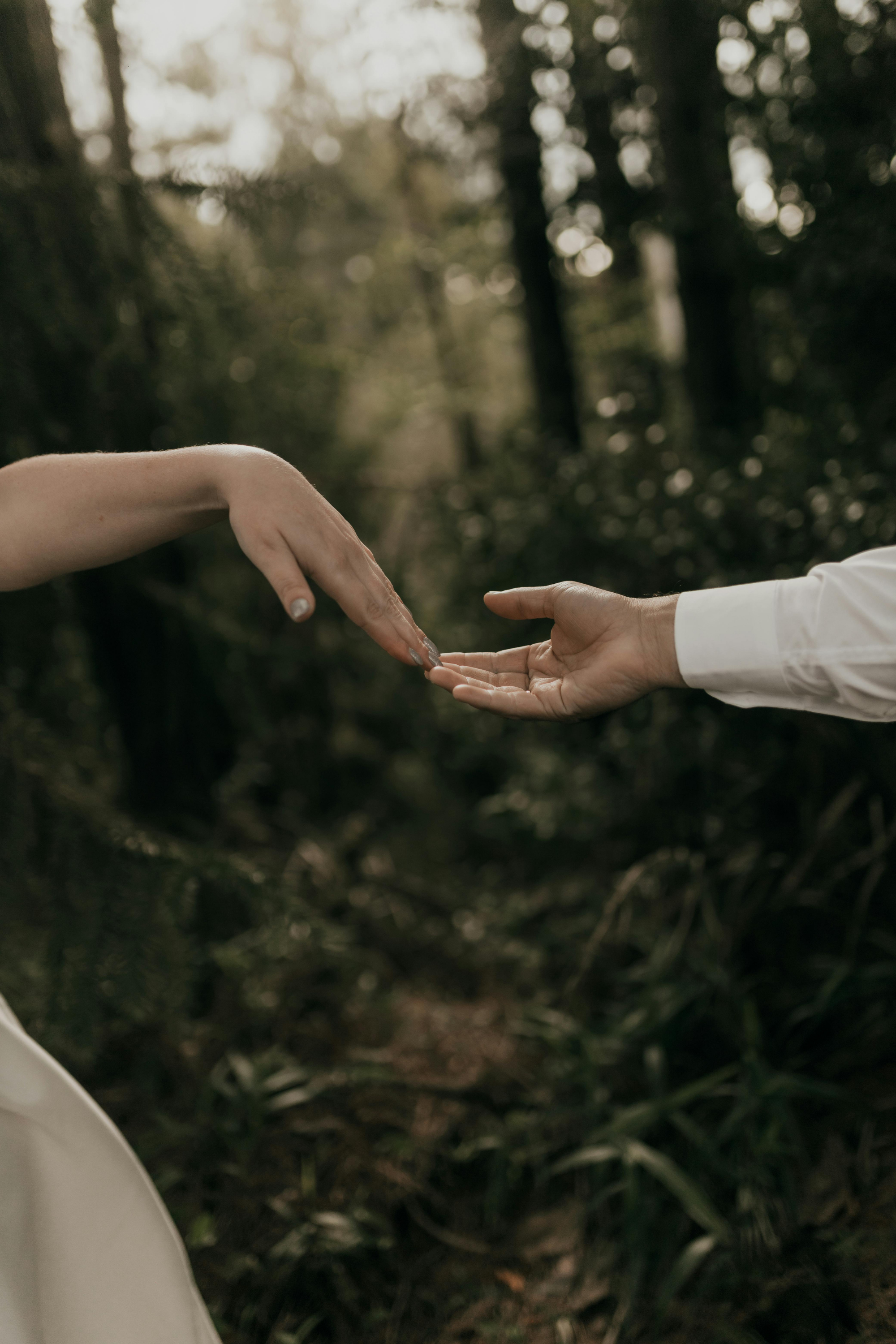 Свадебный фотограф и видеограф в Москве — анонс фото и видео с церемонии в день свадьбы