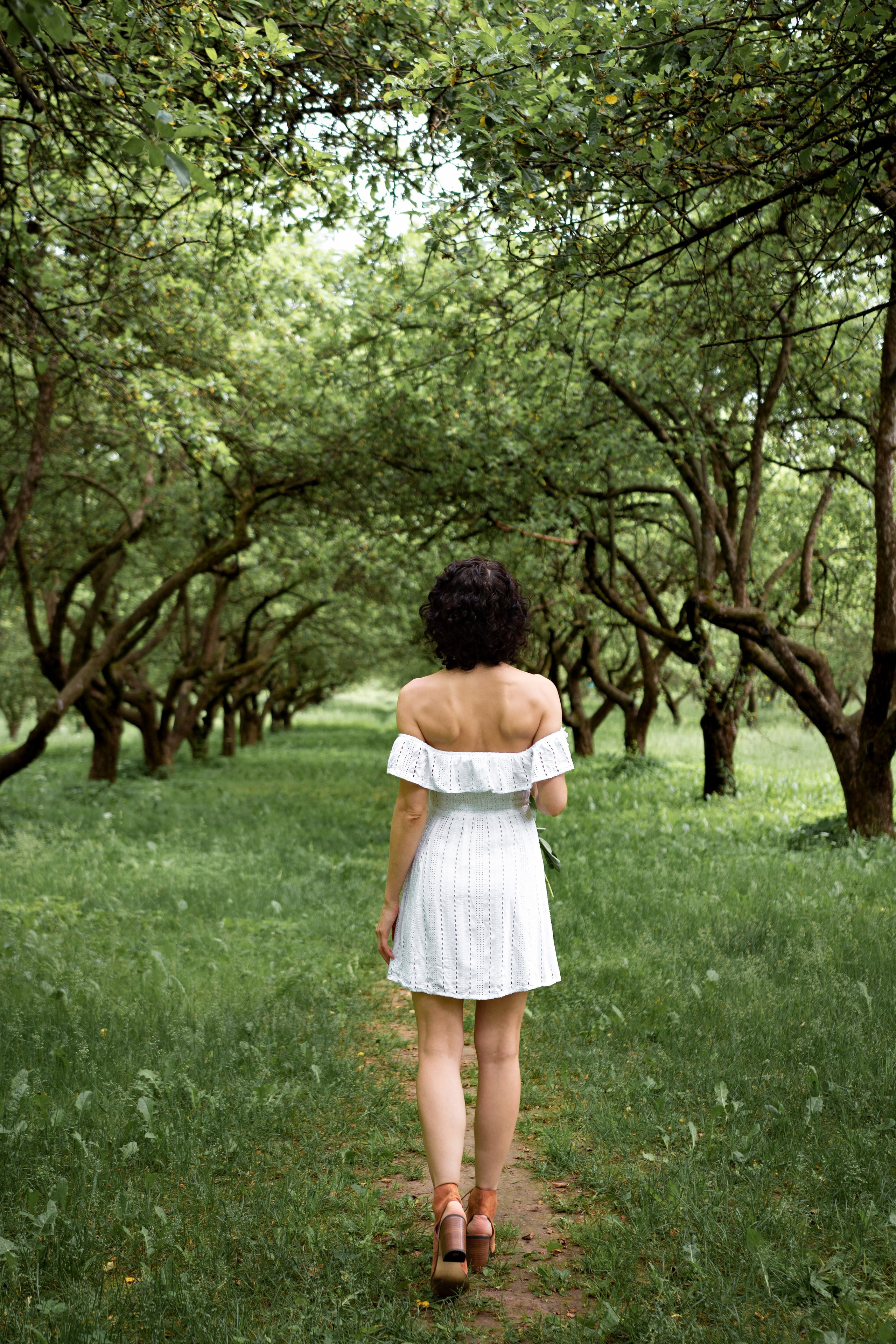 Зелёная симфония