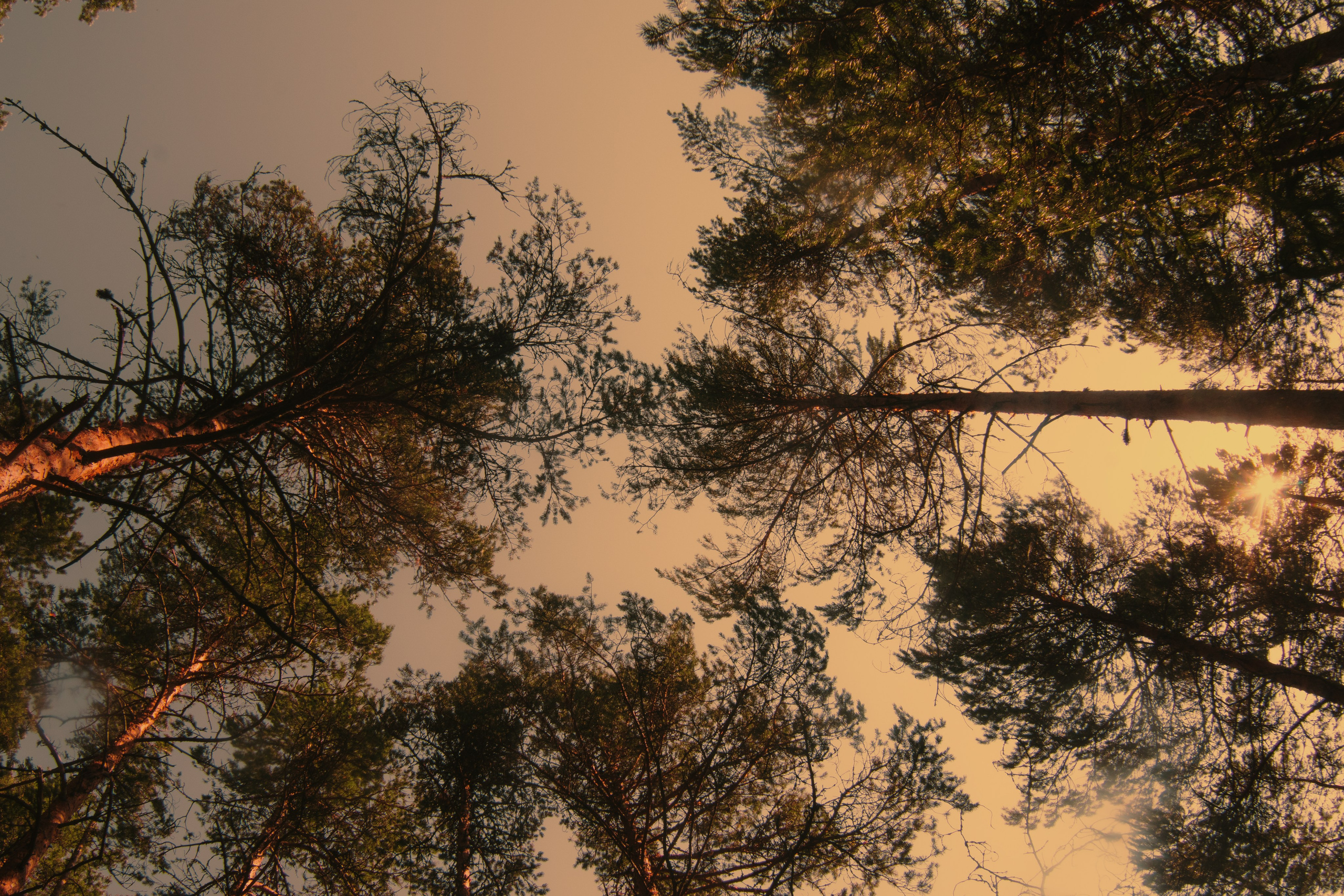 И вокруг меня. Портретный и концертный фотограф в Санкт-Петербурге Егор Телятников