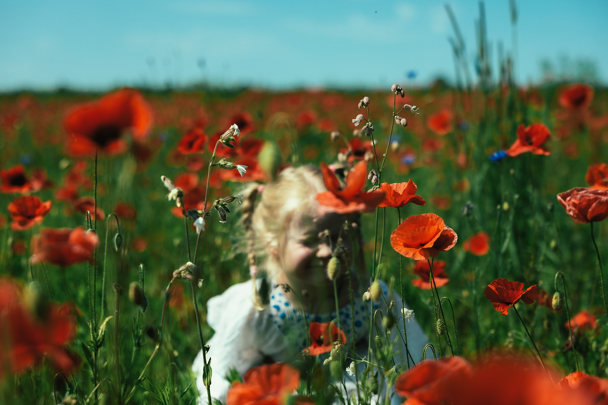 Девочка спряталась в цветах