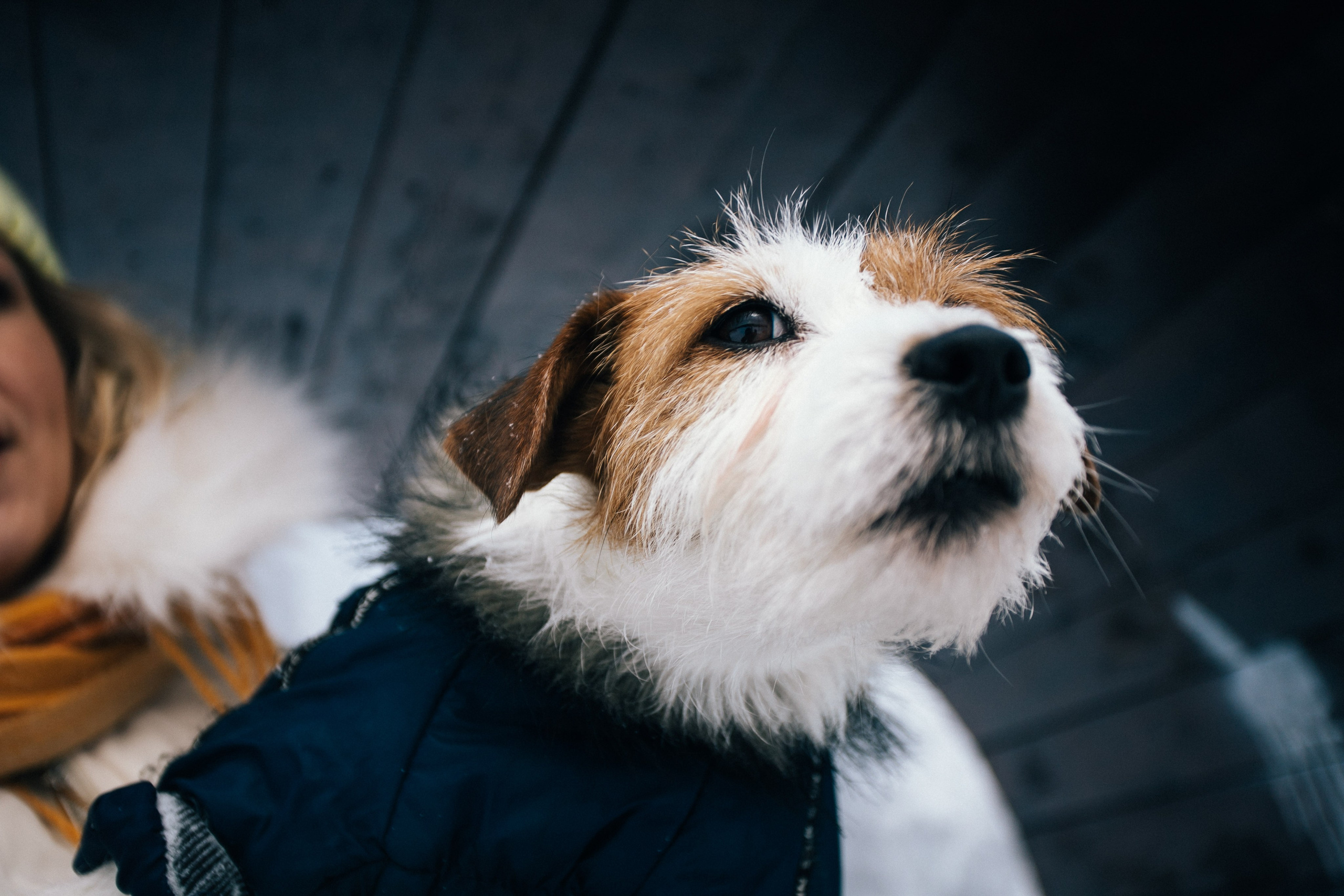 Дарья и Майла. Фотограф Дарья Локотко в Красноярске