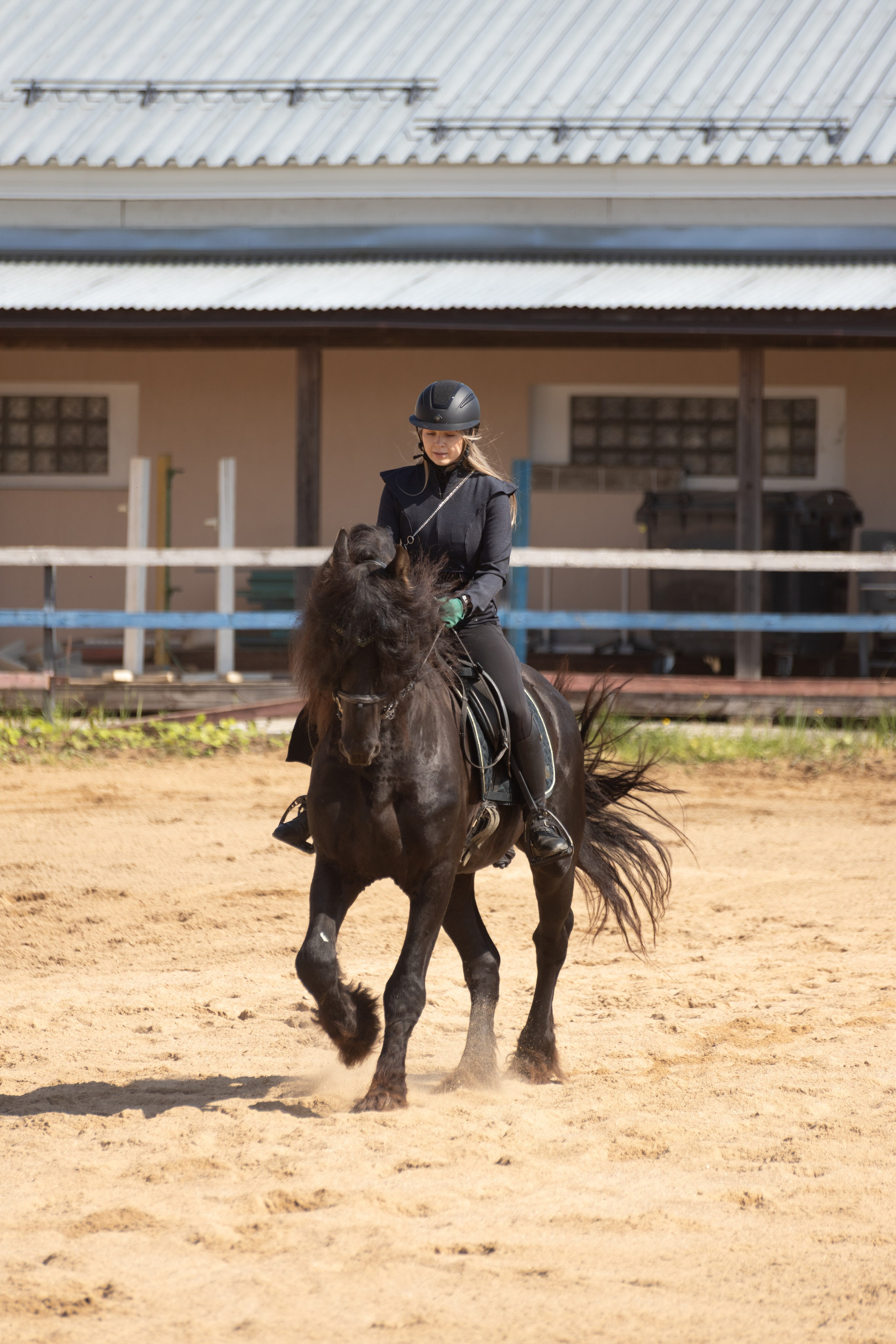 Конюшня. Фотограф в Москве и Истре