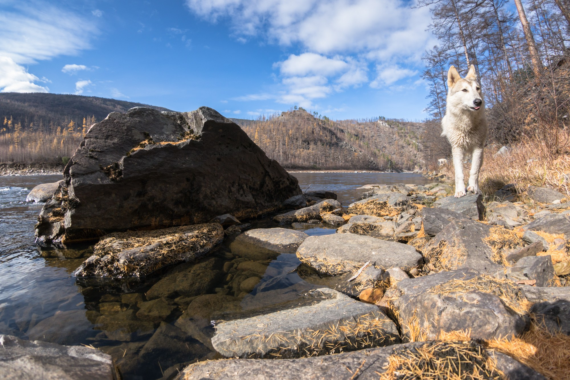 Якутия. Фотограф Алексей Скоробогатько