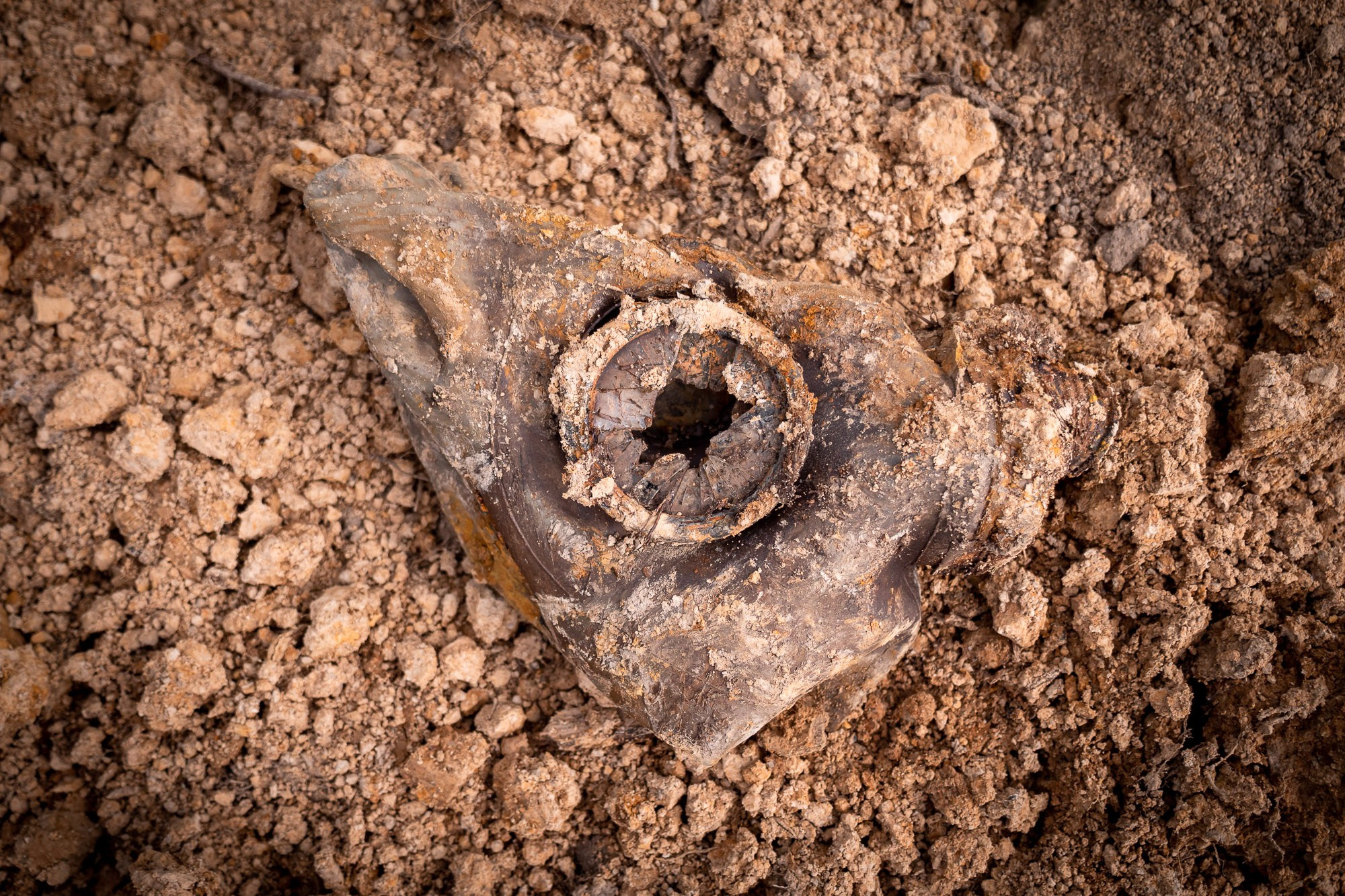 Вахта памяти 2018. Фотограф Алексей Скоробогатько