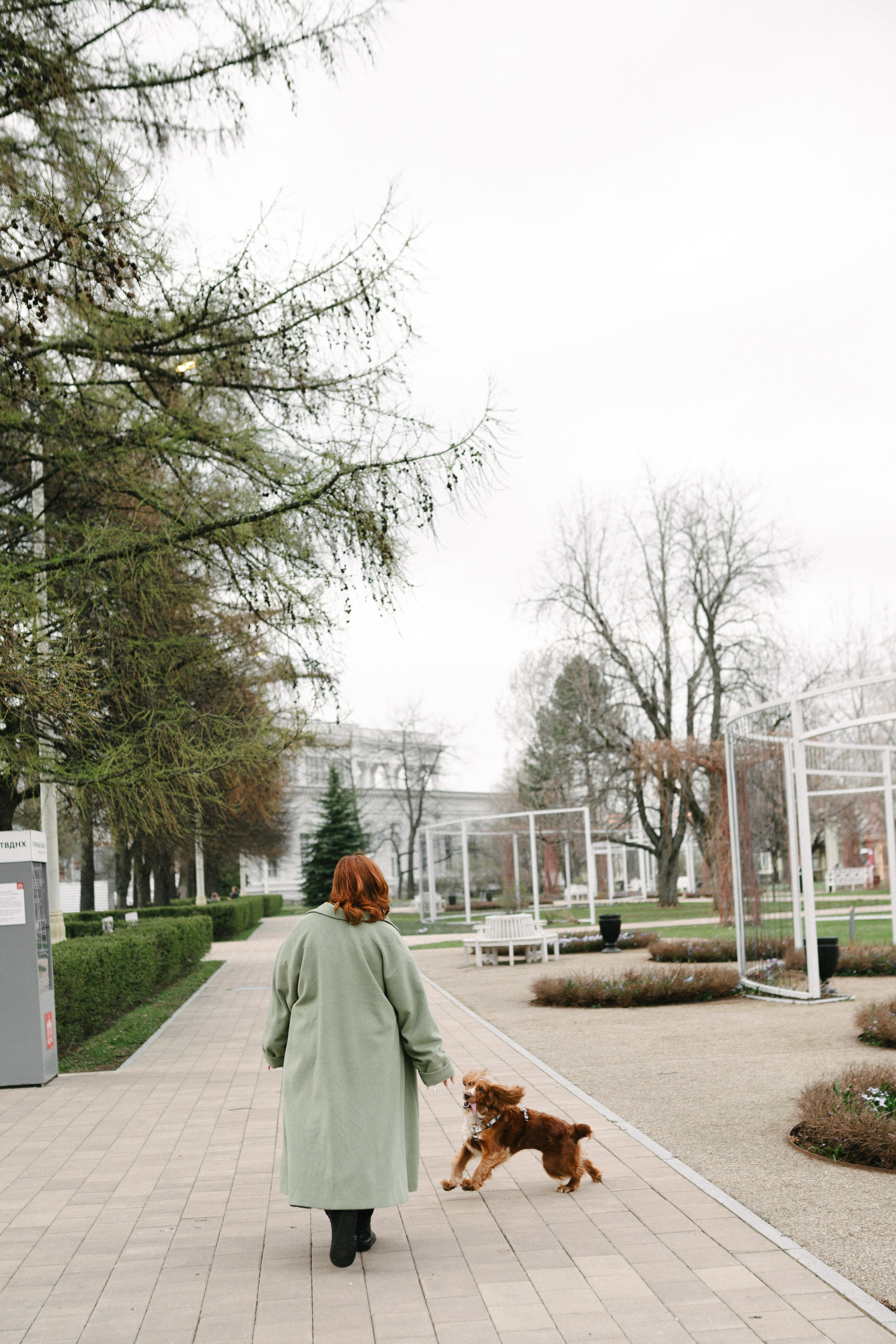 Рыжая команда. Фотограф анималист в Москве Ольга Агушева