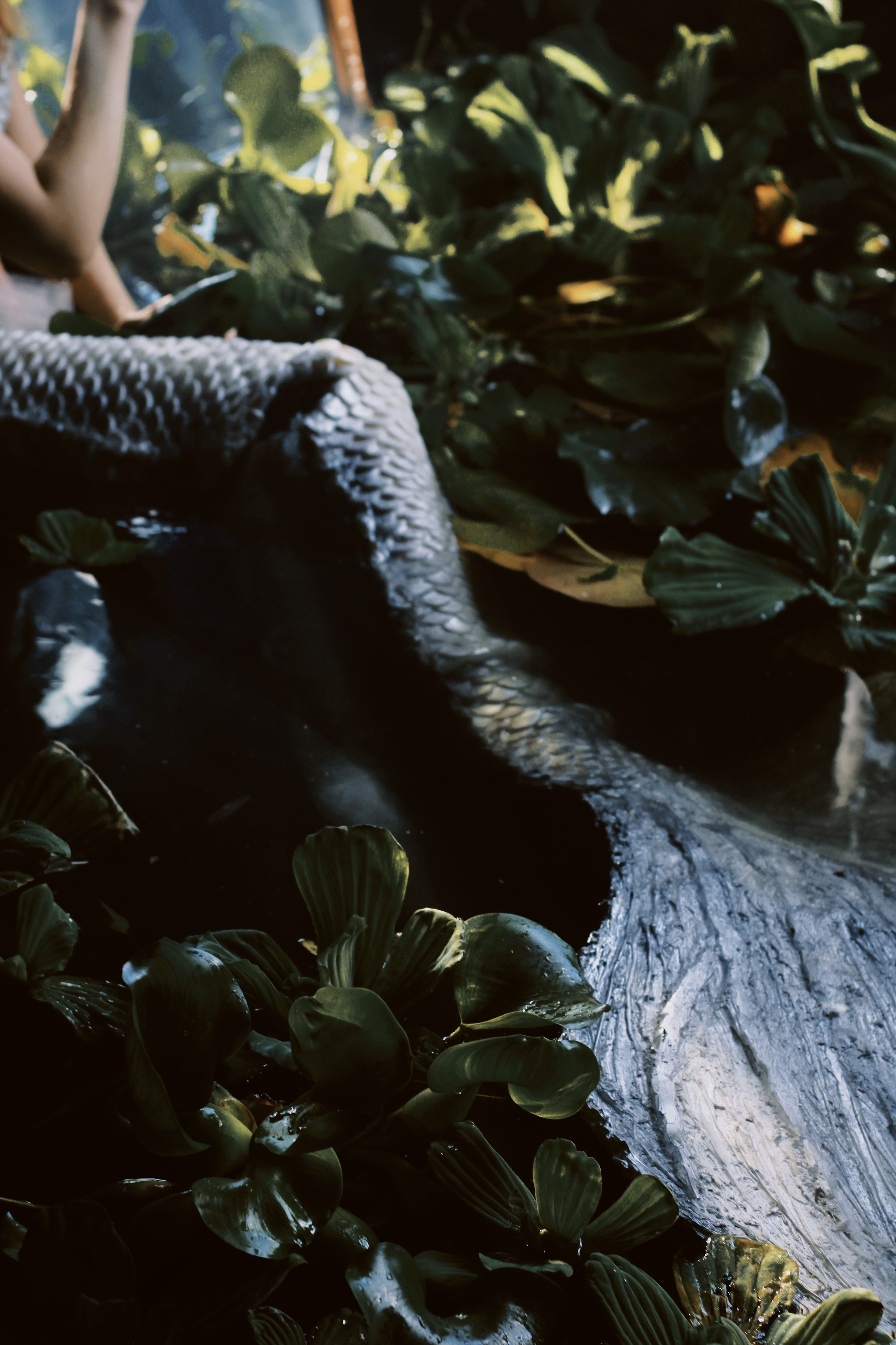 Marina / mermaid. Кристина Кутько • фотограф Новосибирск