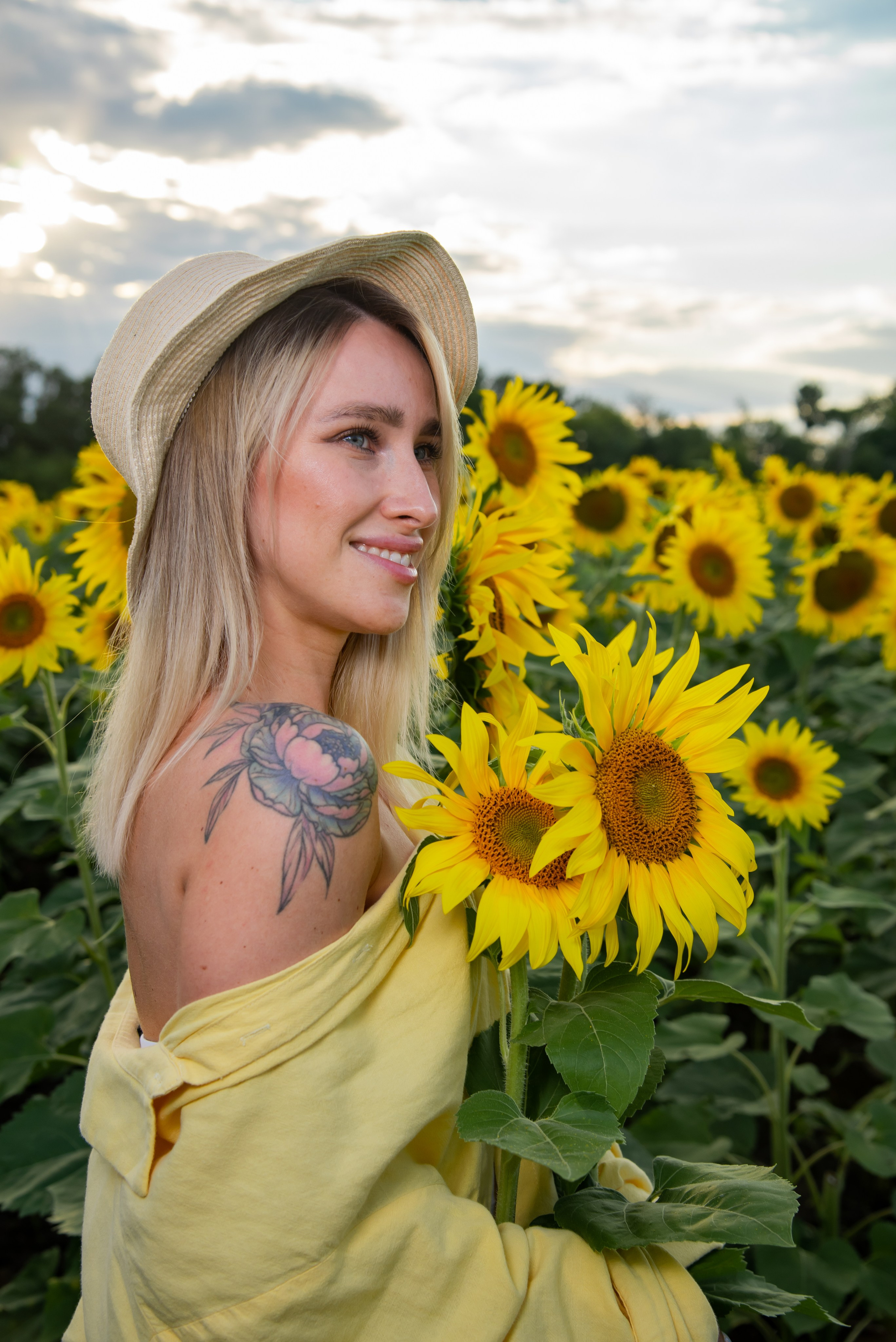 Подсолнух. Фотограф Галина Нестерова