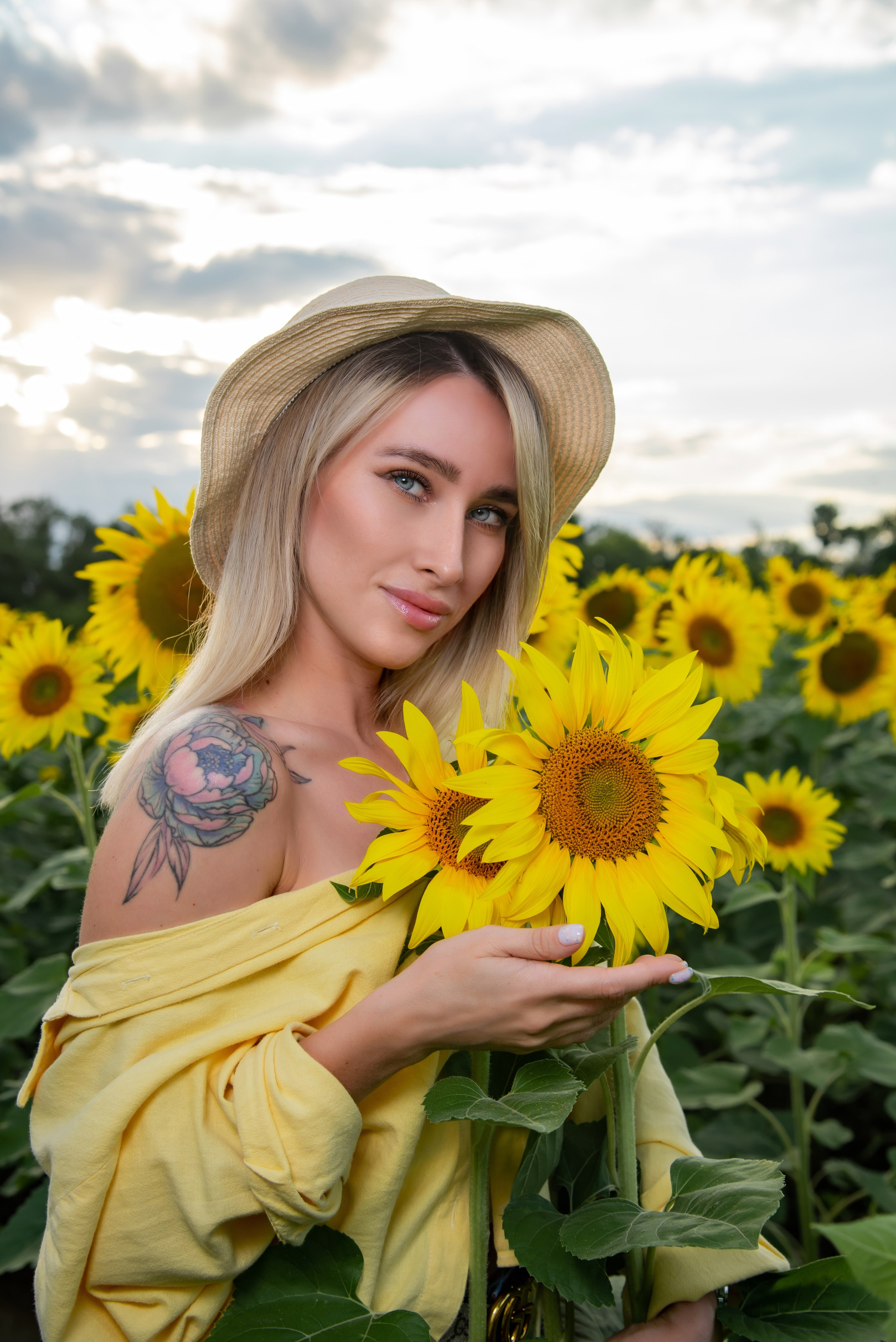 Подсолнух. Фотограф Галина Нестерова