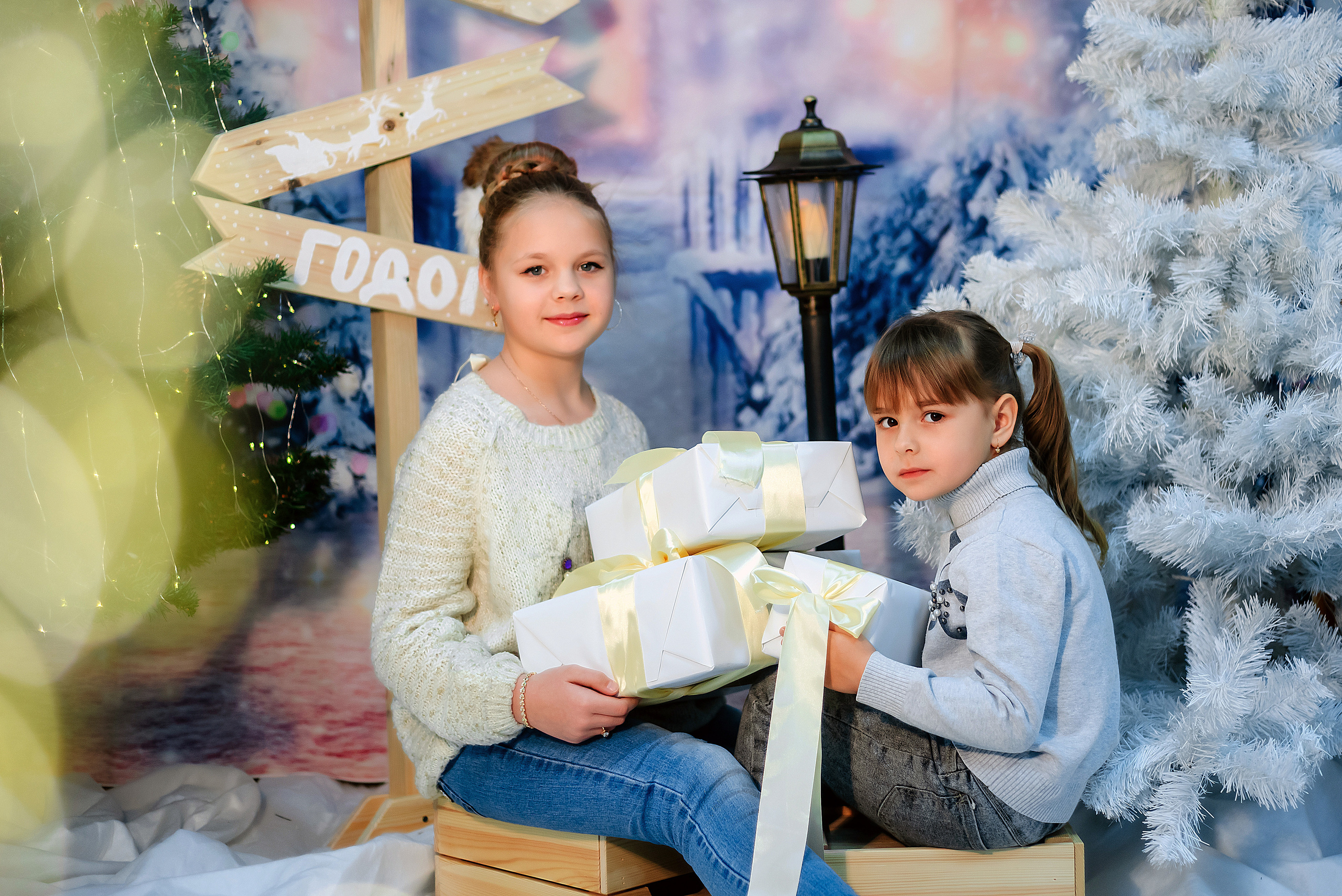 ПРОЕКТ «Новогодний». Семейный и детский фотограф в Тейково