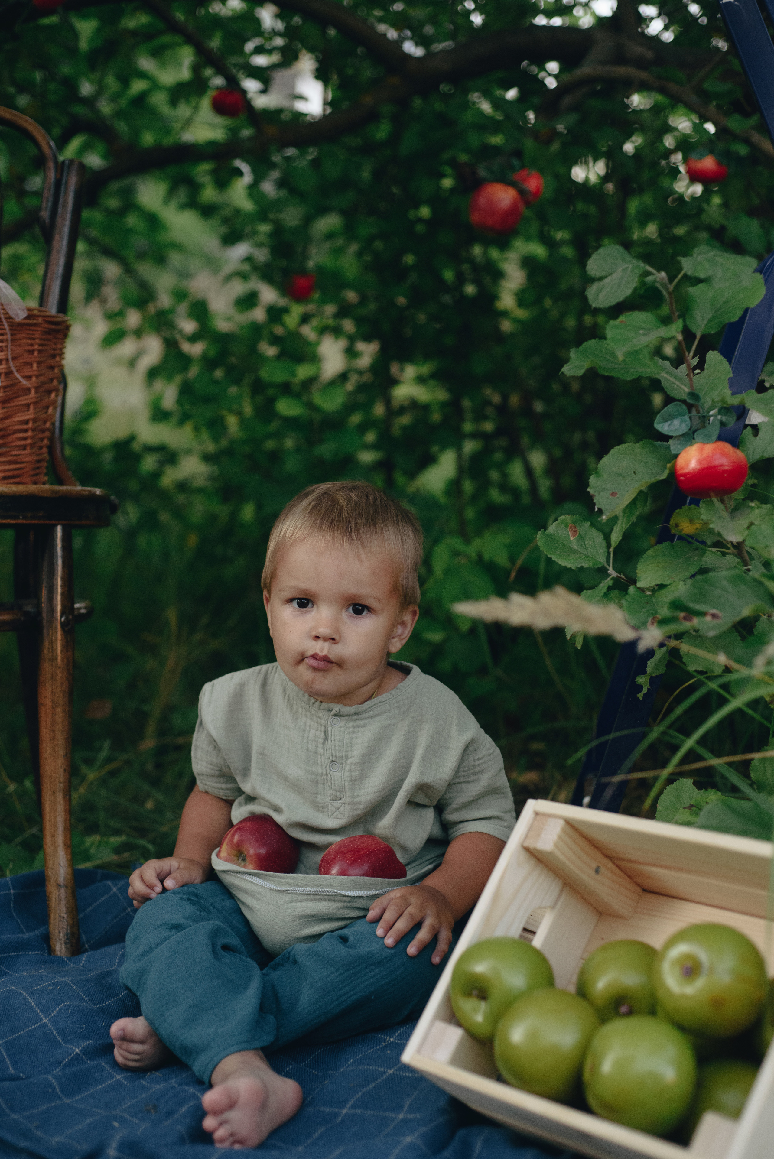 ПРОЕКТ «Яблочное счастье». Семейный и детский фотограф в Тейково