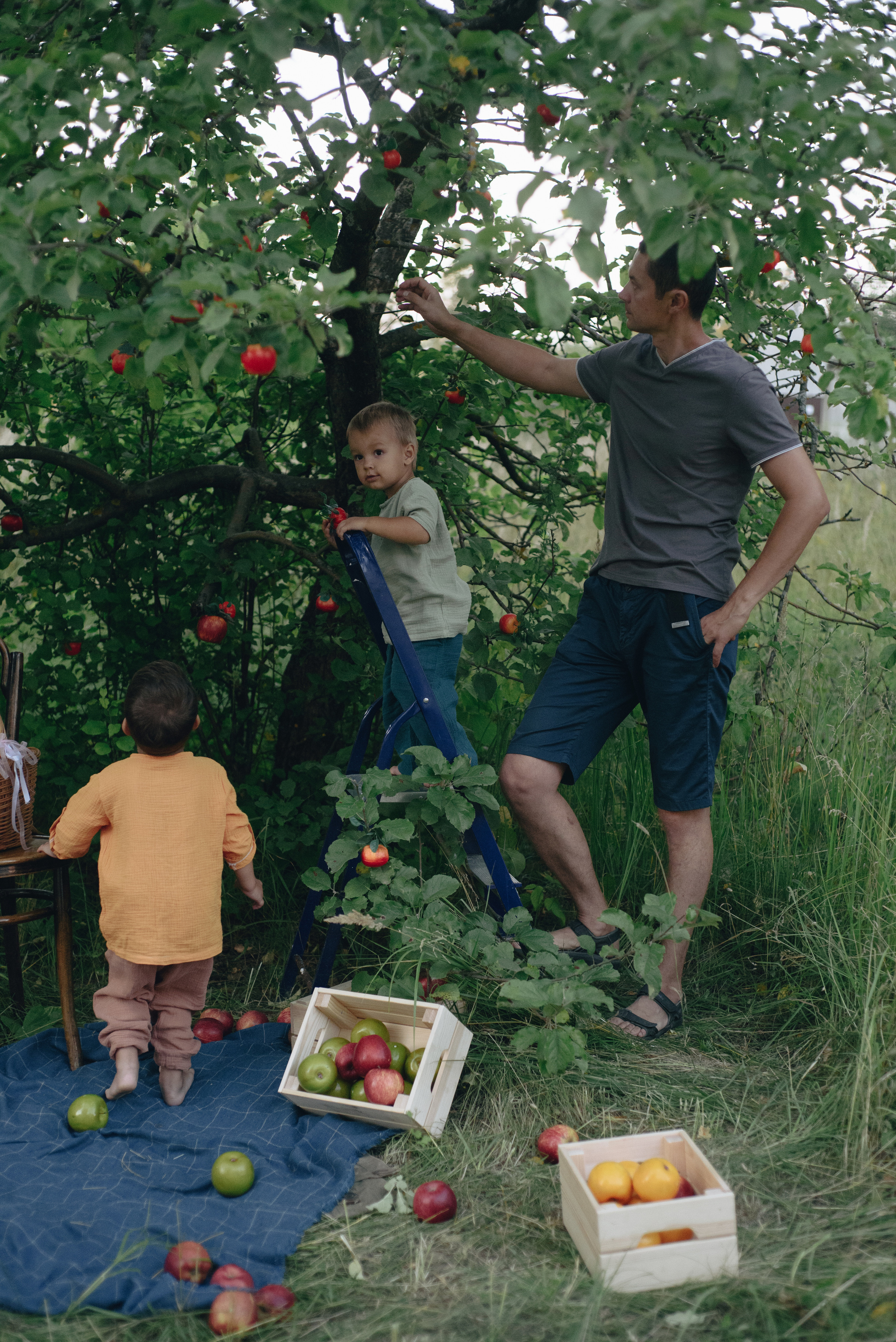 ПРОЕКТ «Яблочное счастье». Семейный и детский фотограф в Тейково