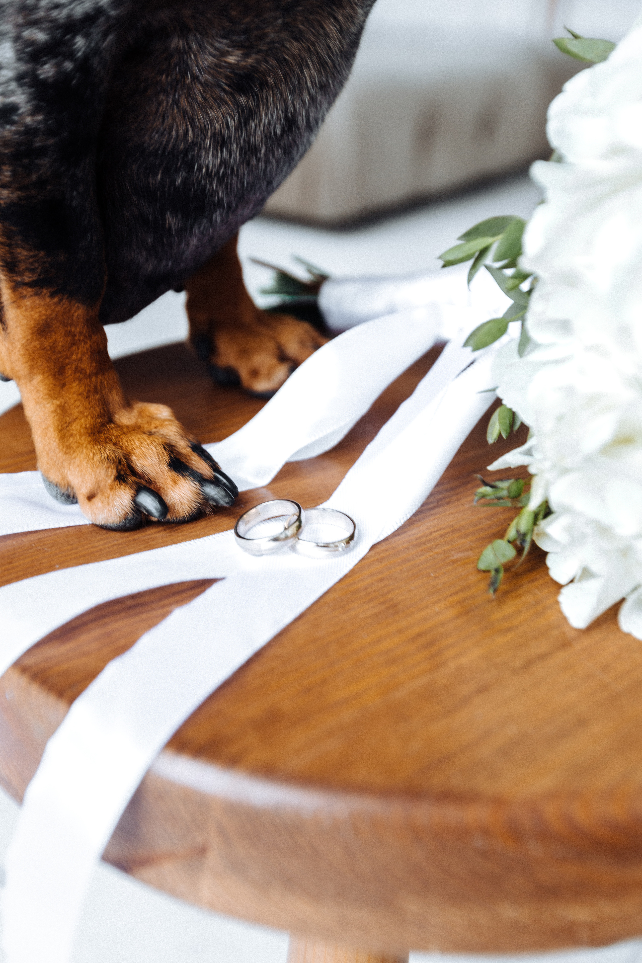 Дарья и Роман. Портретный и свадебный фотограф в Перми Ная Моложенко