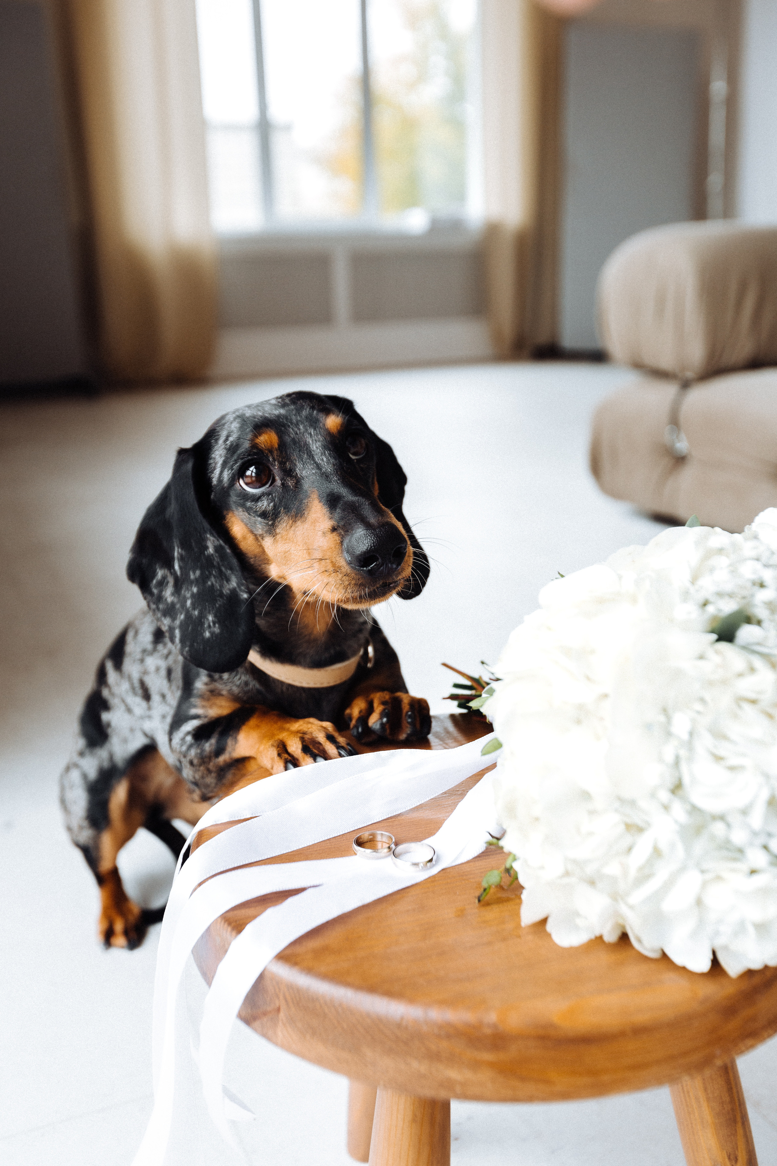 Дарья и Роман. Портретный и свадебный фотограф в Перми Ная Моложенко