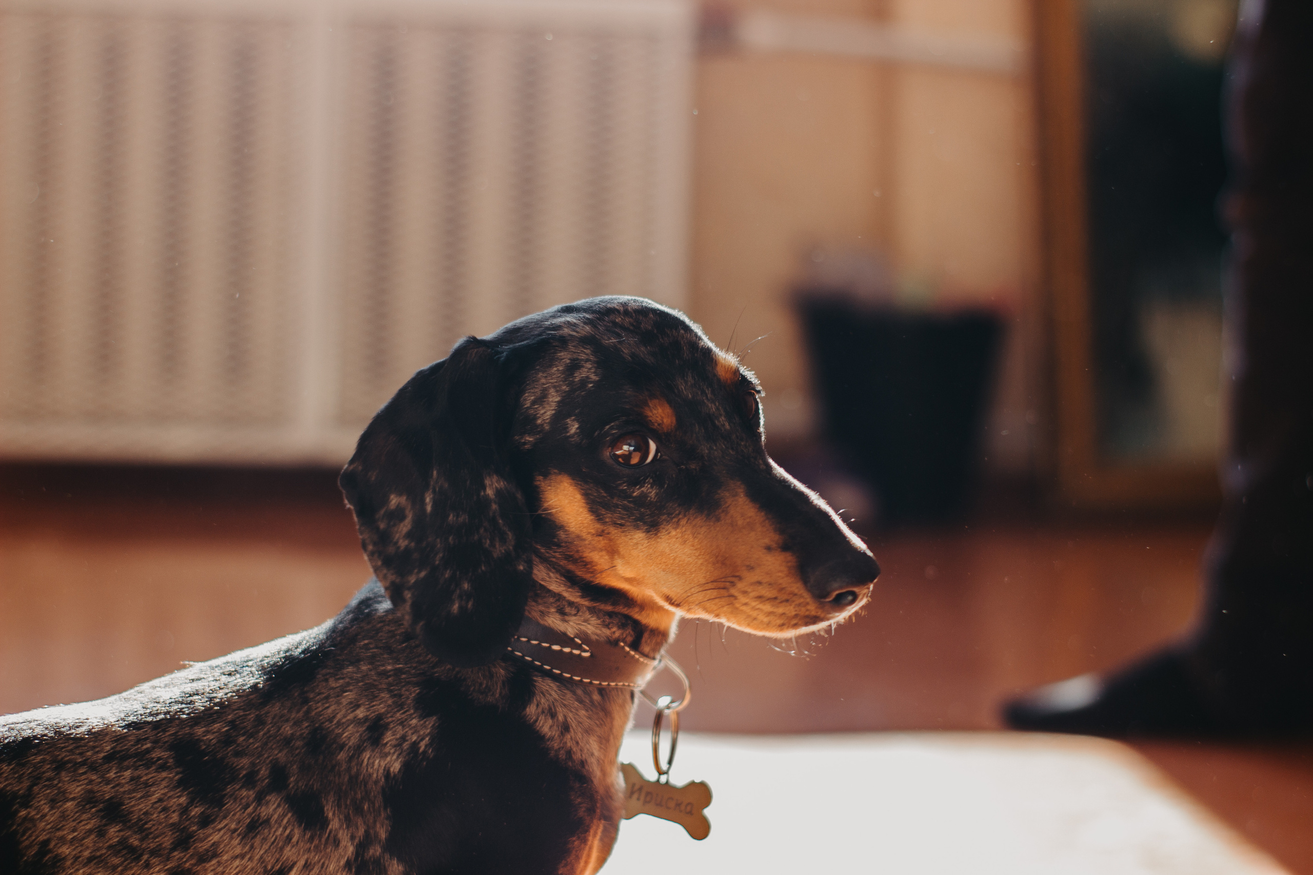 Дарья и Роман. Портретный и свадебный фотограф в Перми Ная Моложенко